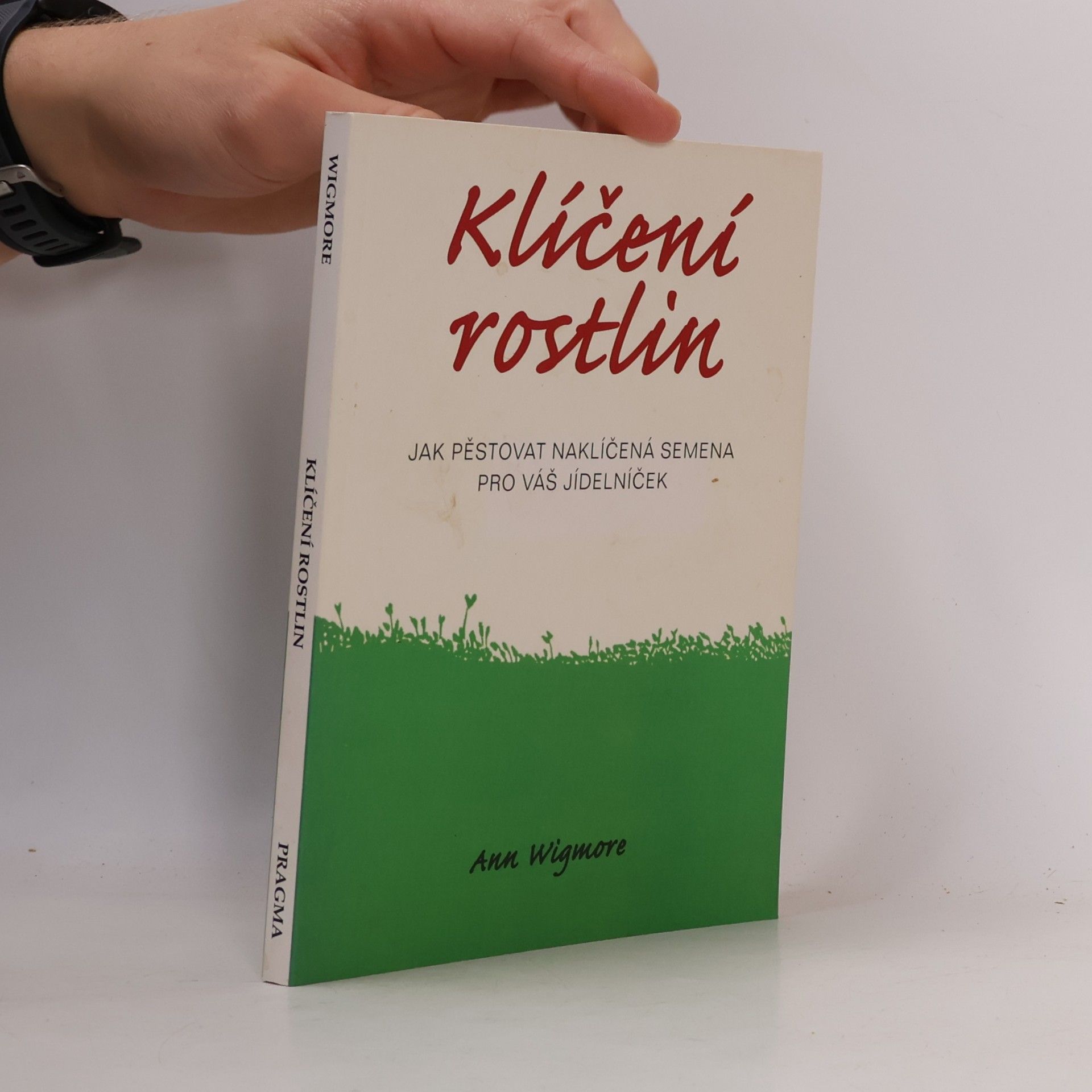 Klíčení rostlin