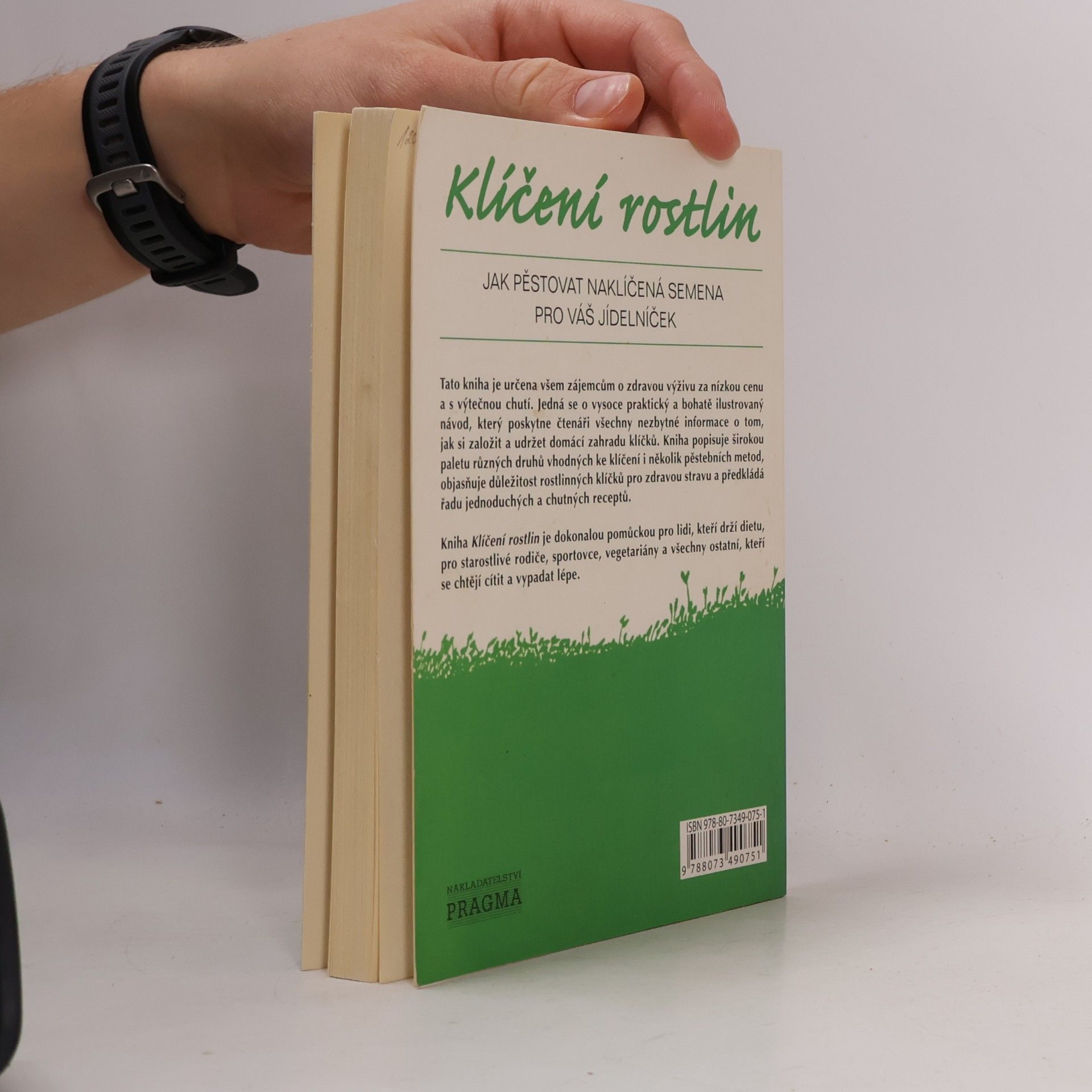 Ann Wigmore Klíčení rostlin
