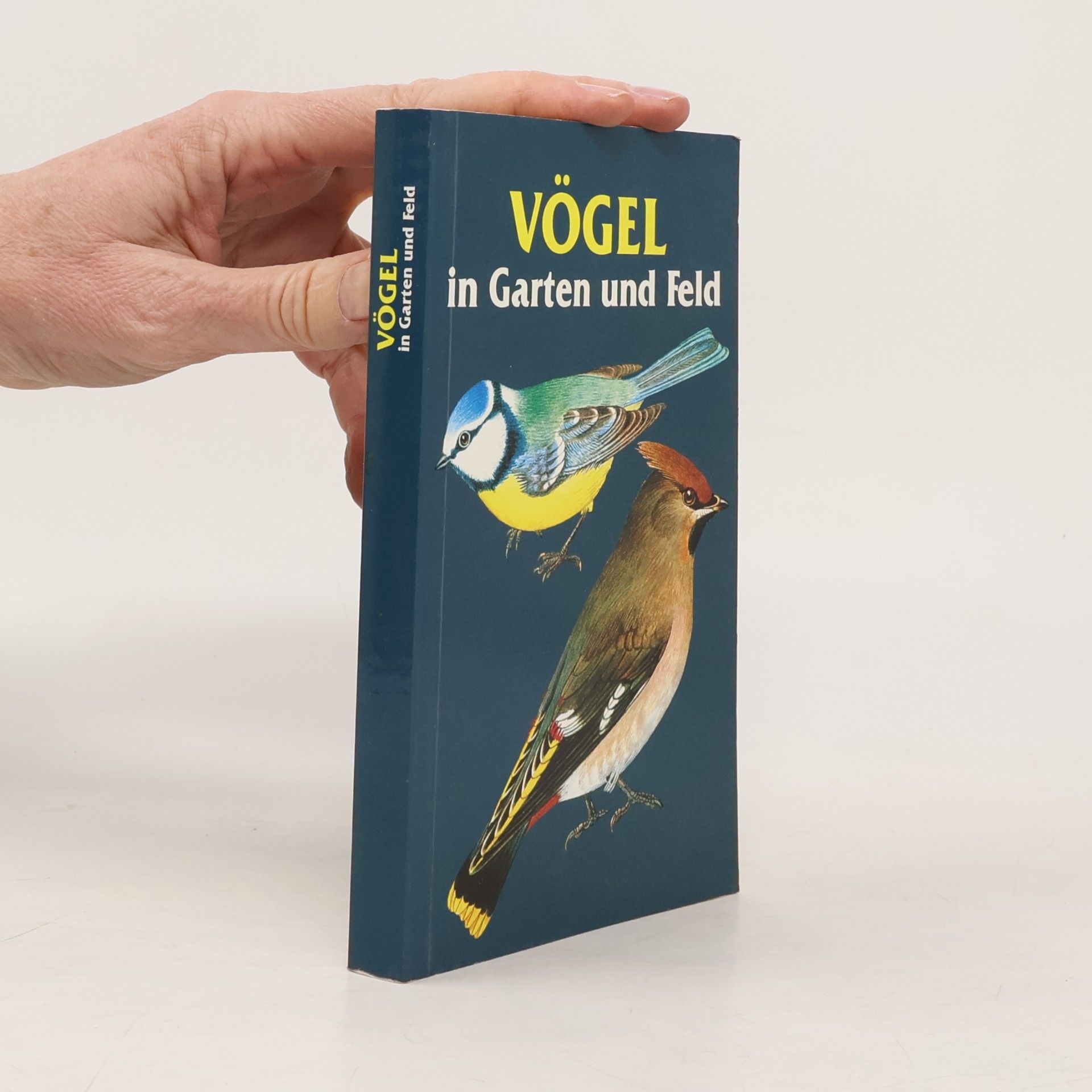 Vögel in Garten und Feld