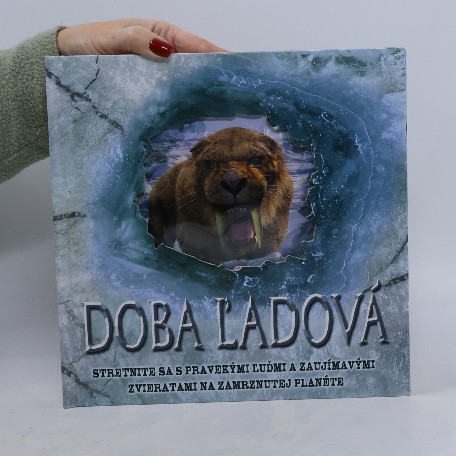 kolektiv Doba ľadová