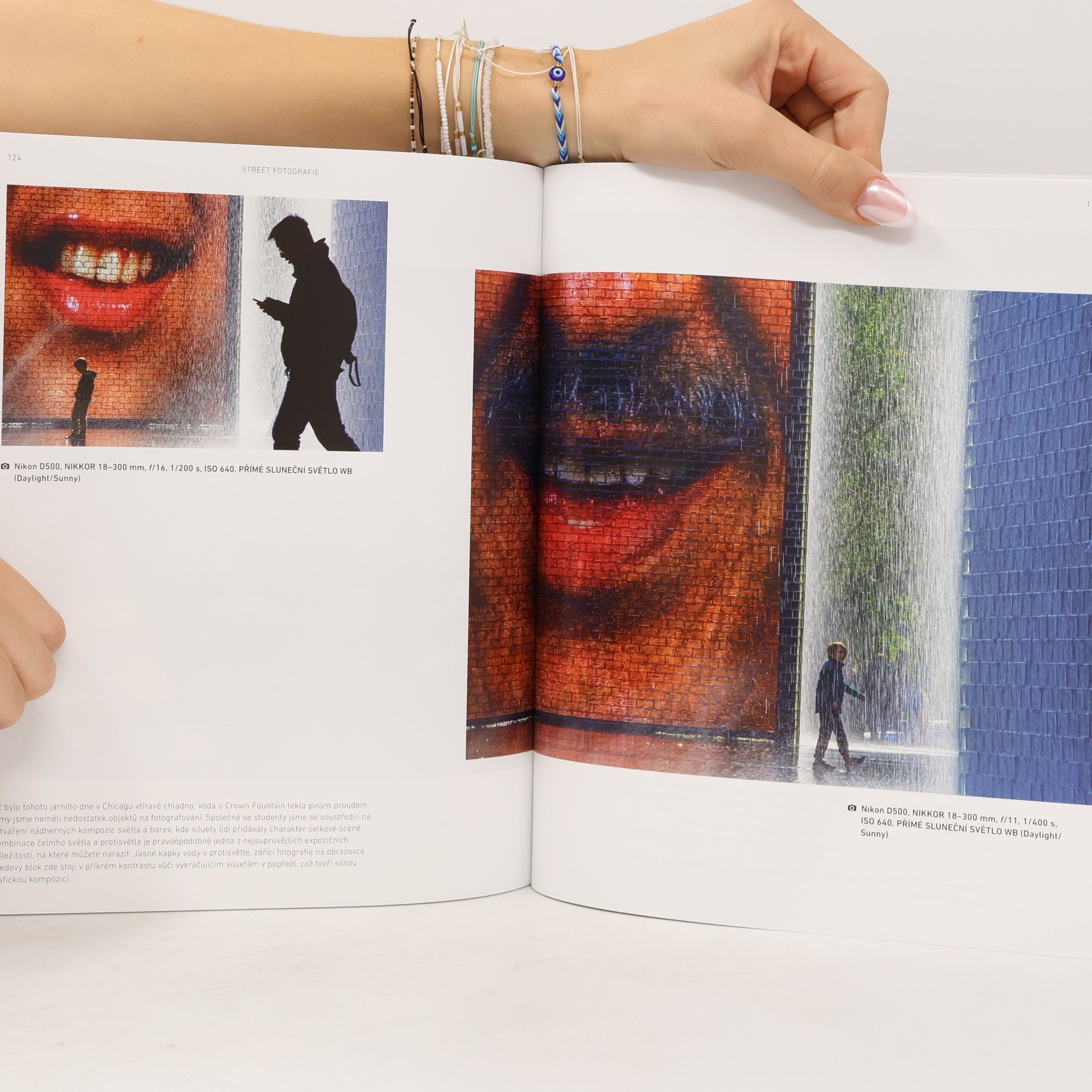 Bryan Peterson Naučte se fotografovat street fotografie
