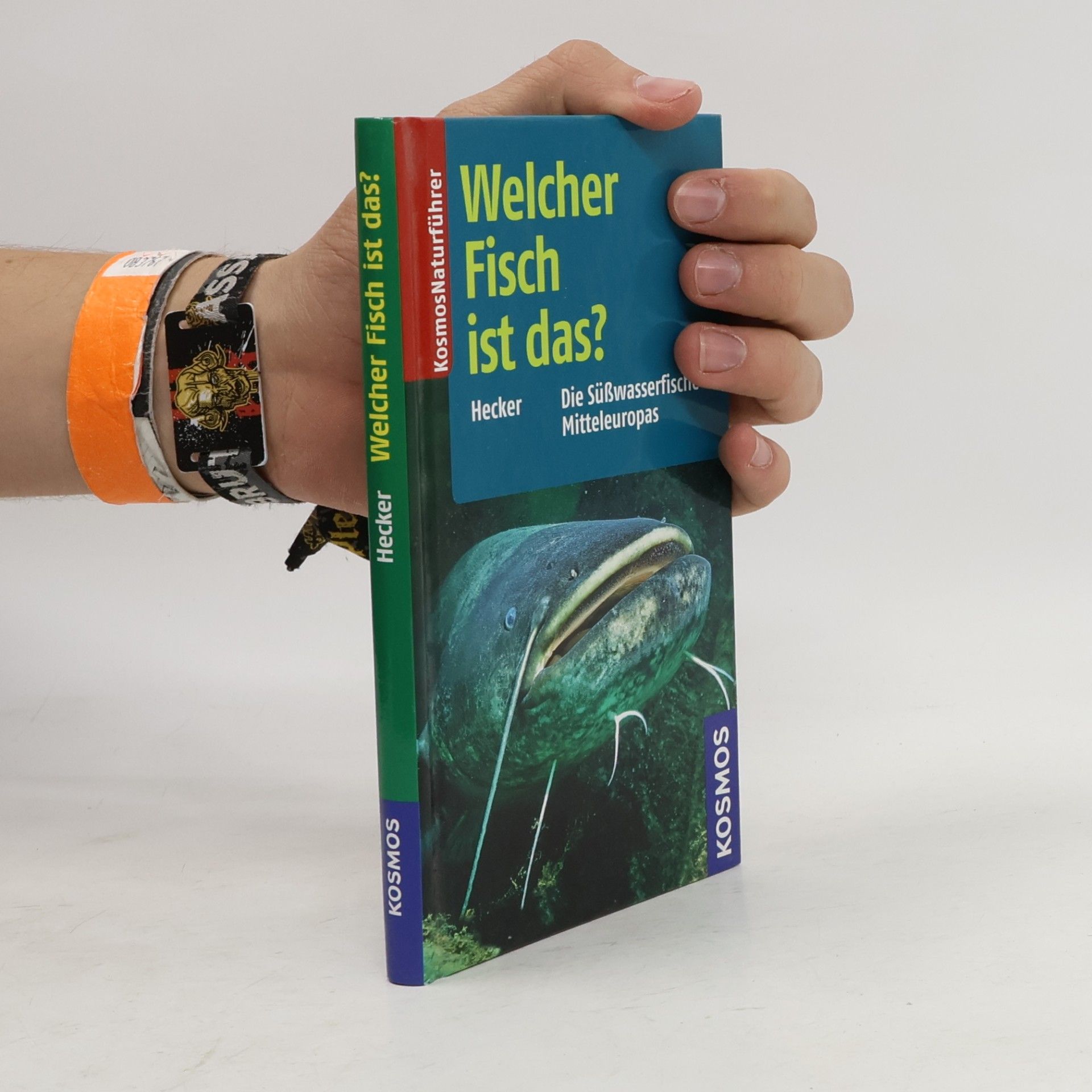 Welcher Fisch ist das?