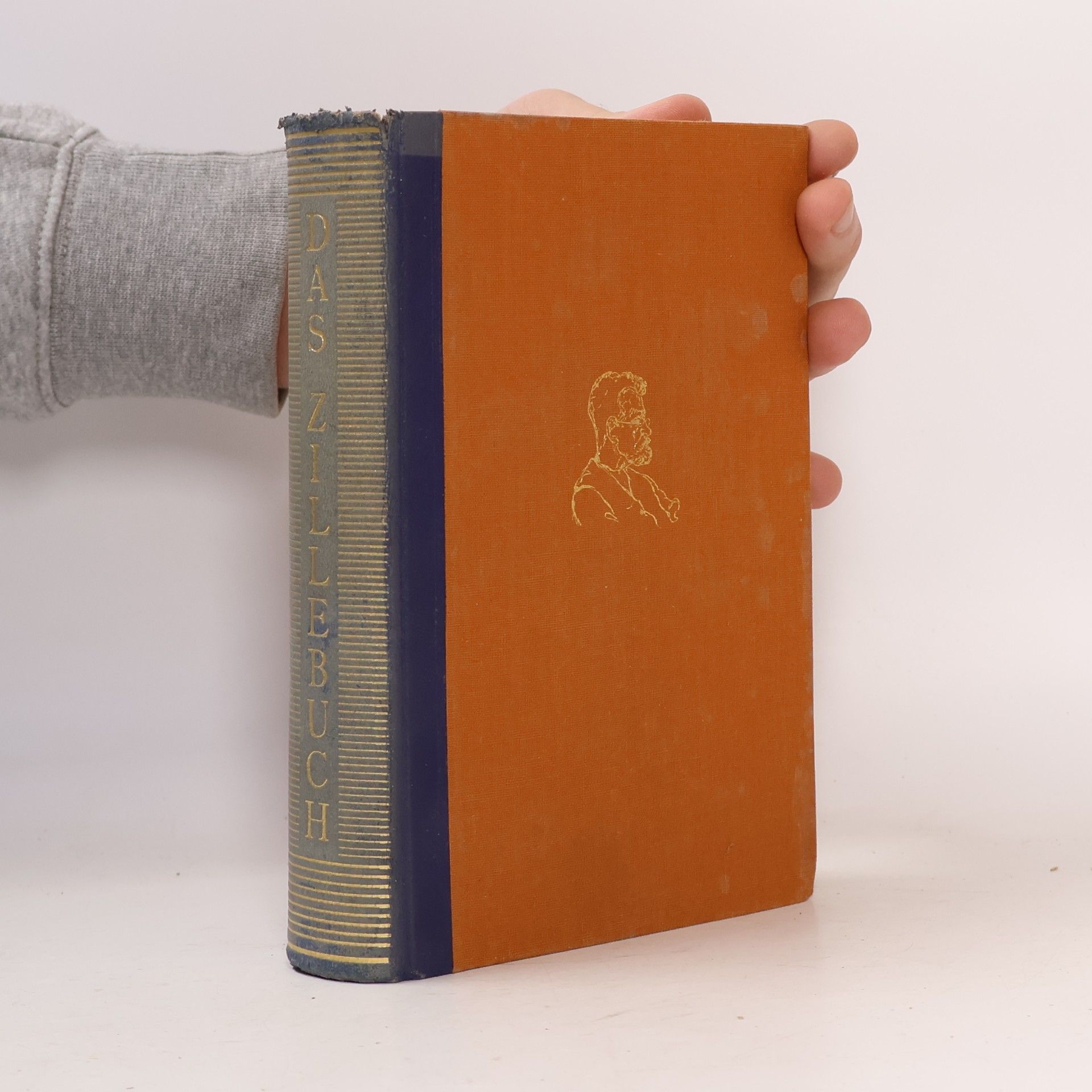 Hans Ostwald Das Zillebuch