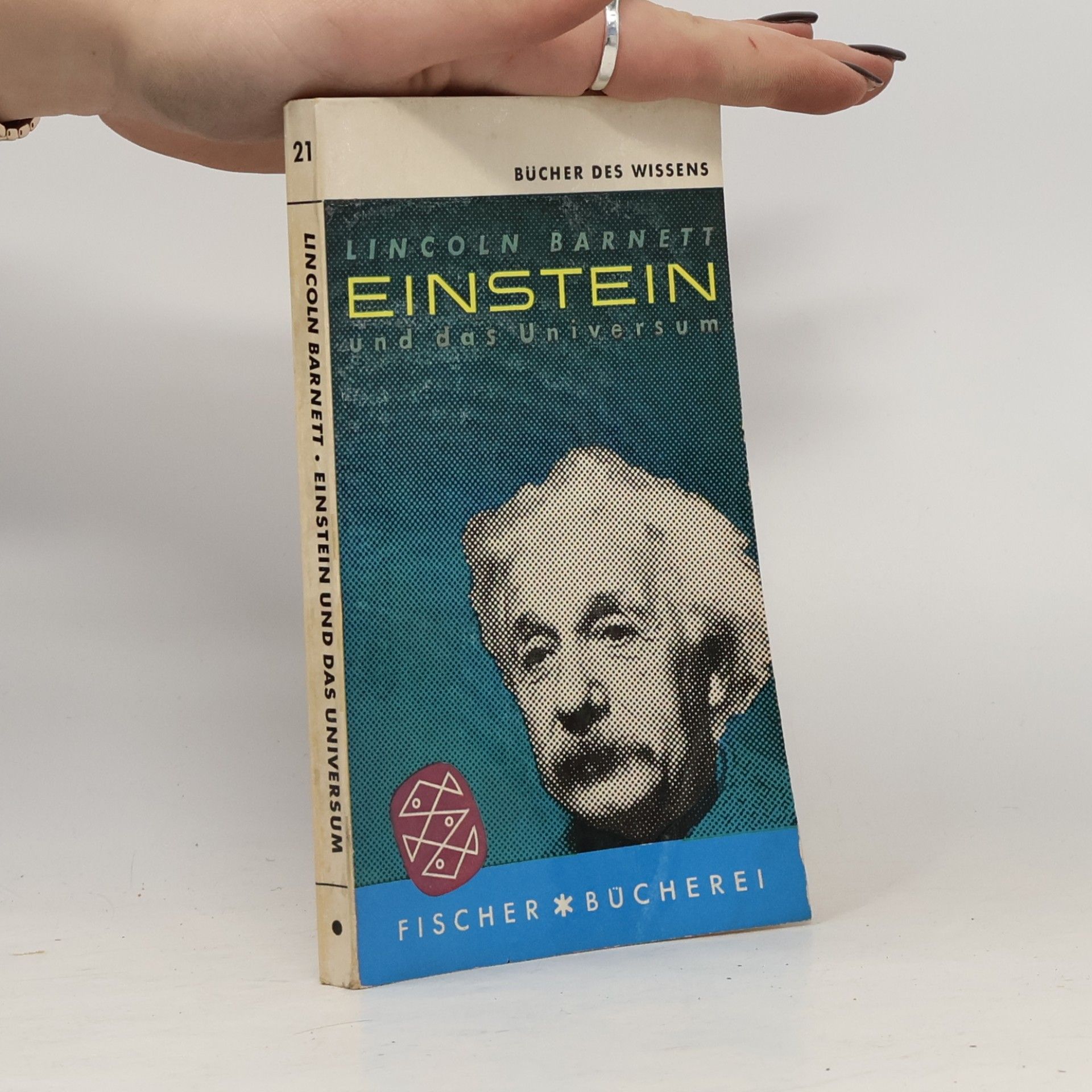 Einstein und das Universum