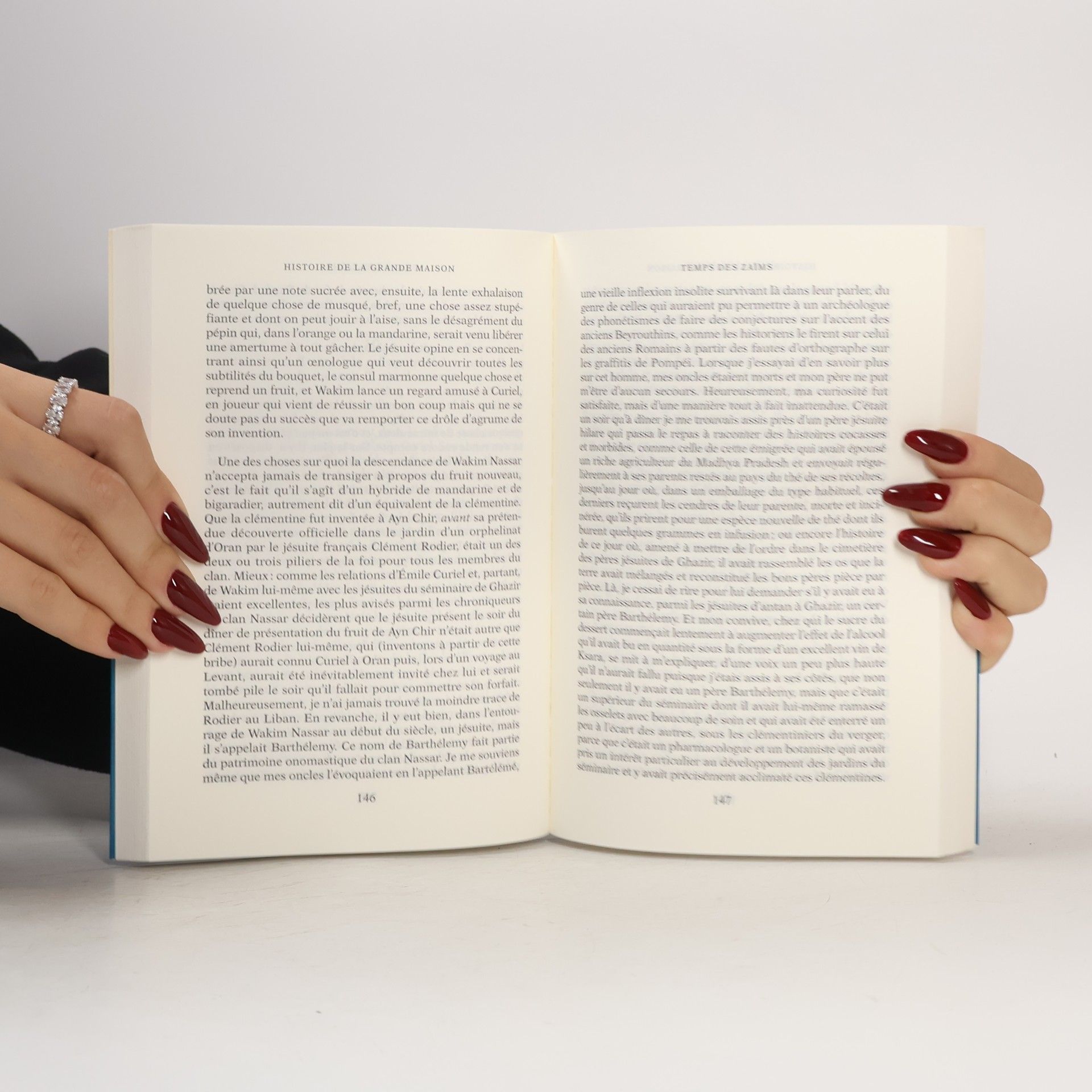 Charif Majdalani Histoire de la Grande Maison
