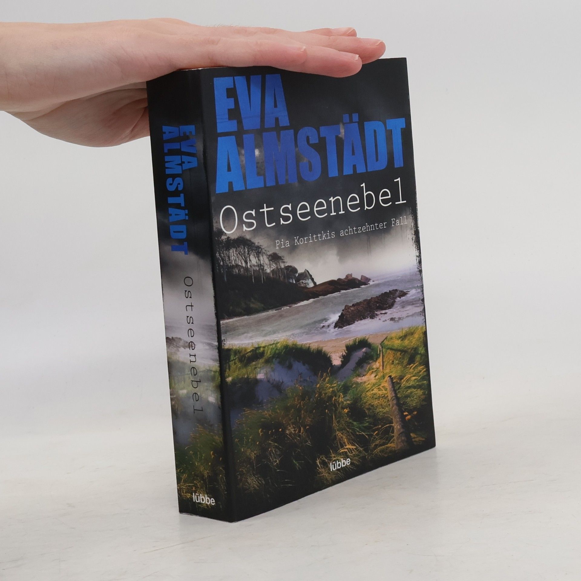 Ostseenebel