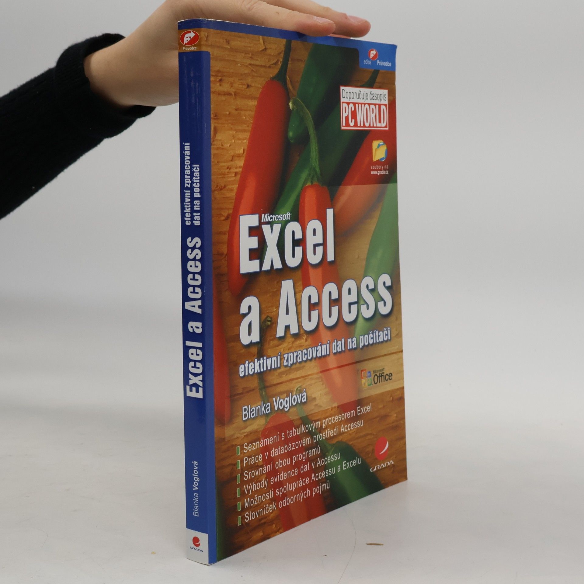 Excel a Access : efektivní zpracování dat na počítači