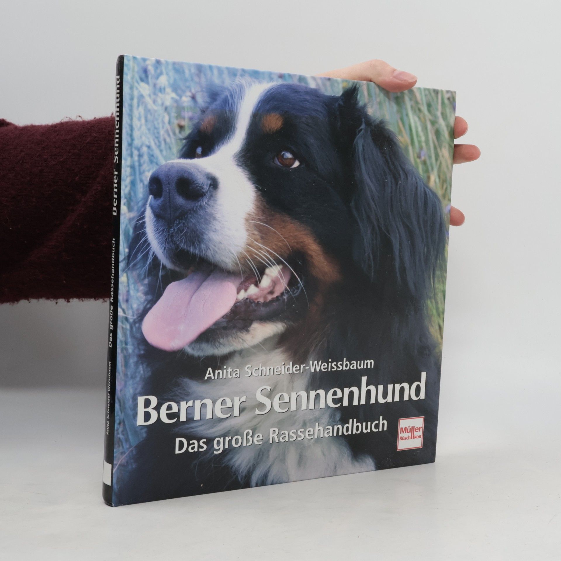 Berner Sennenhund