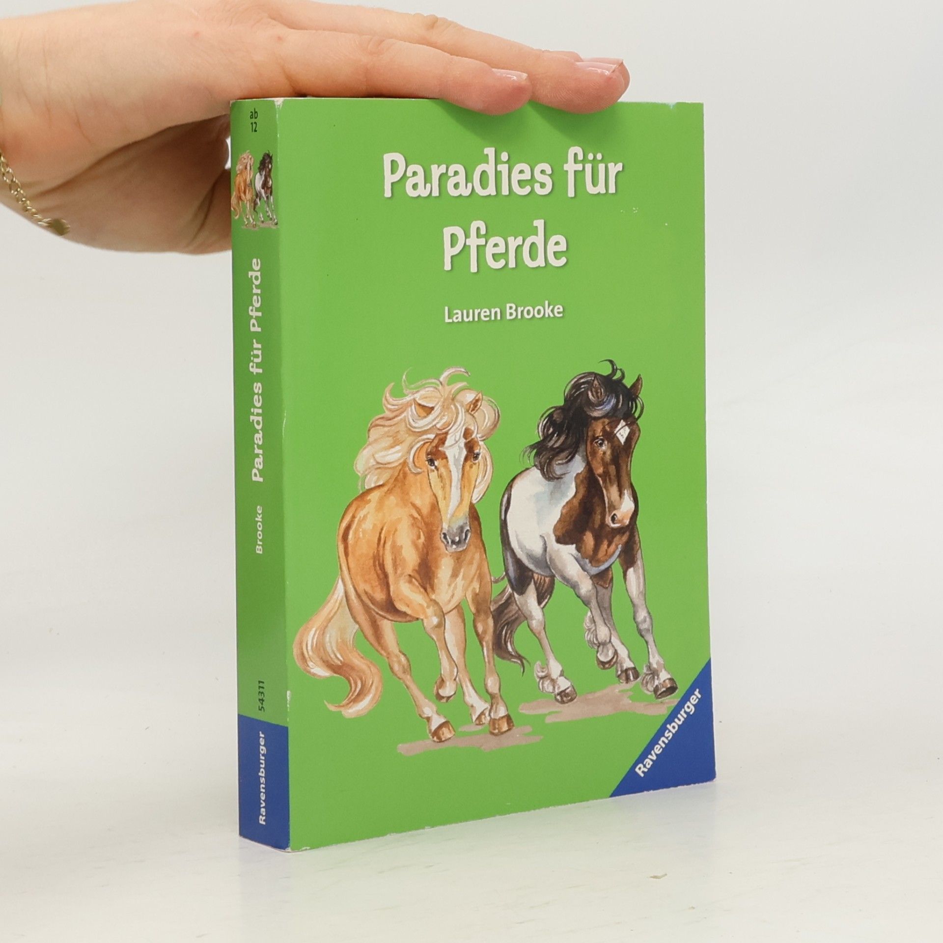 Paradies für Pferde