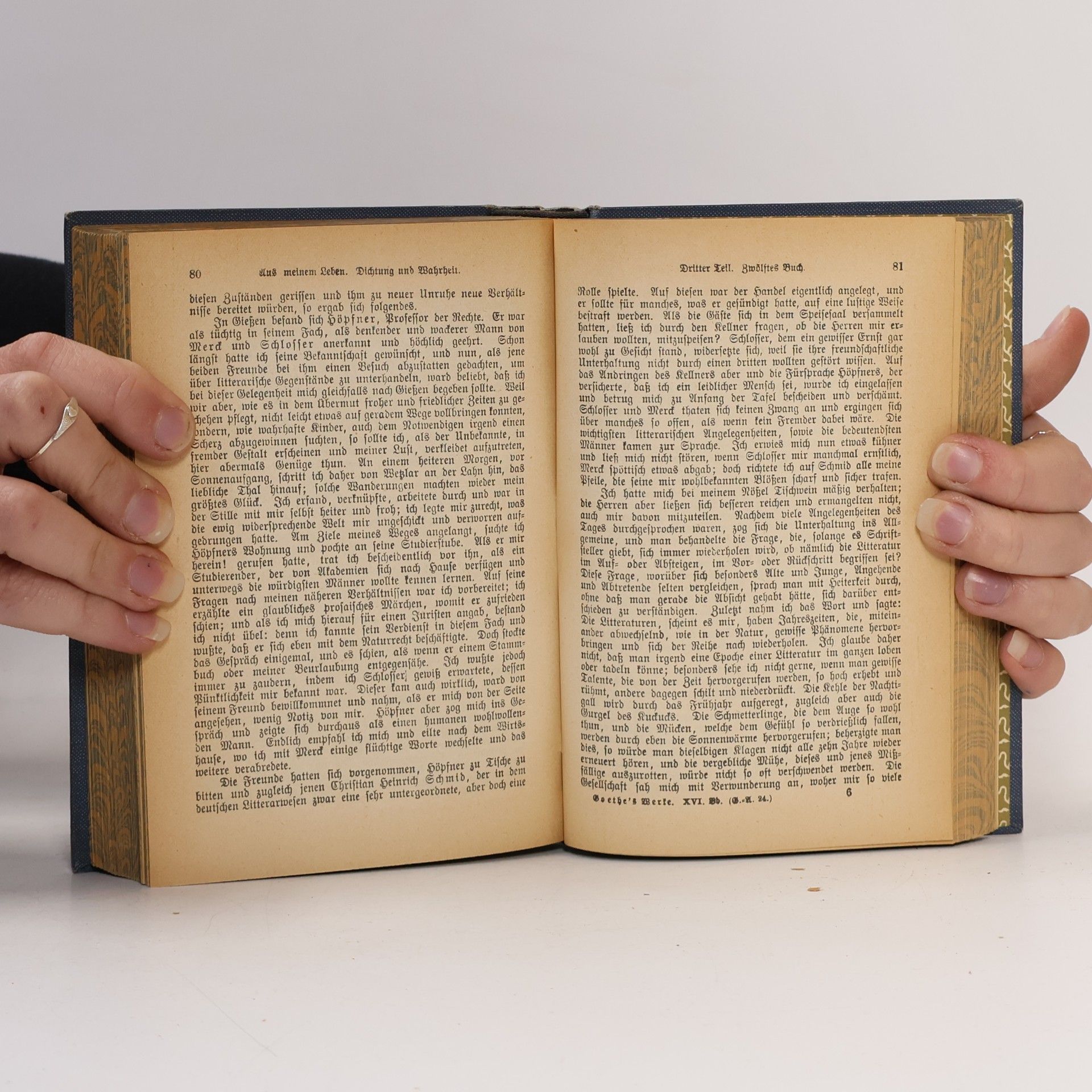 Johann Wolfgang von Goethe Goethes Werke 13. - 16. Band