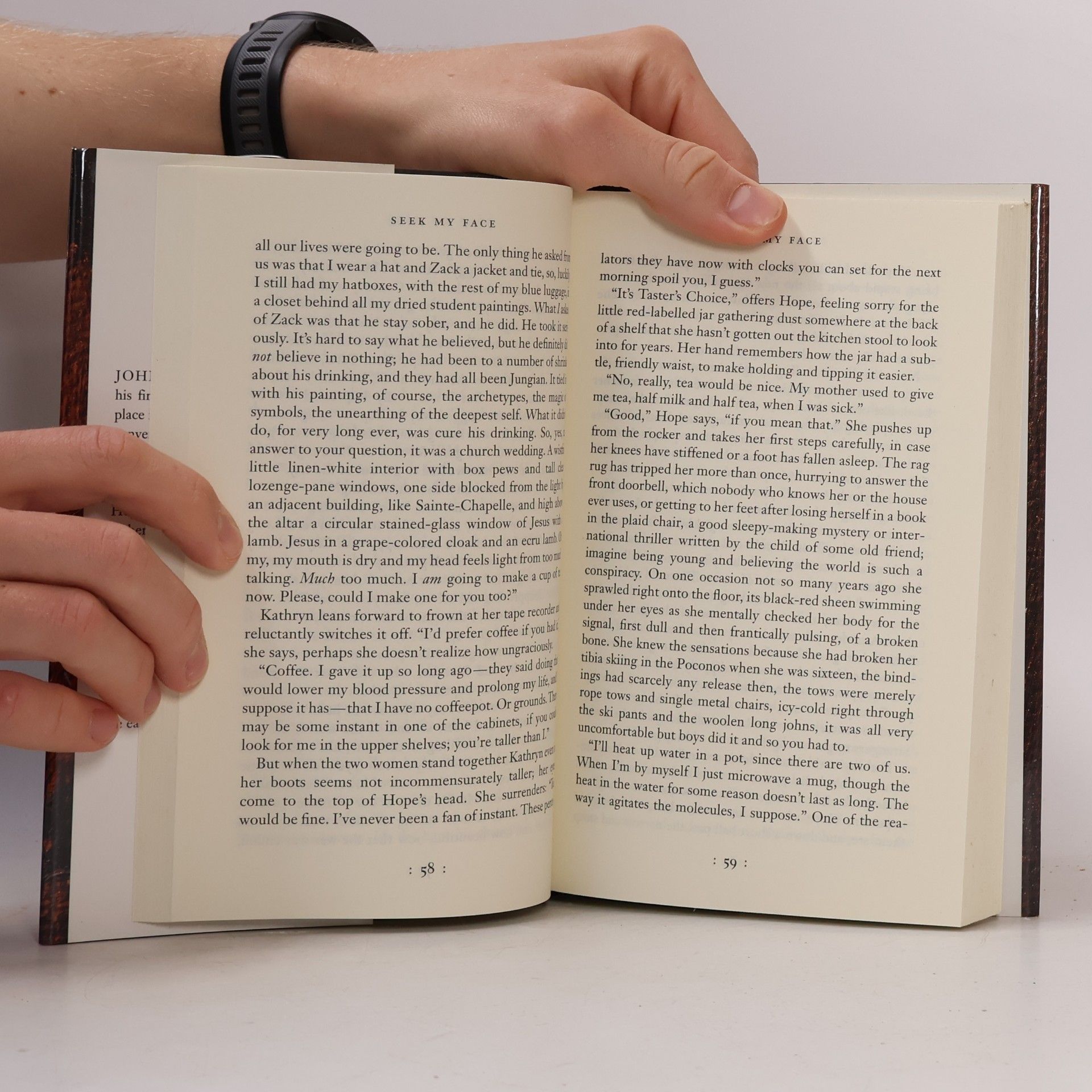 John Updike Seek My Face