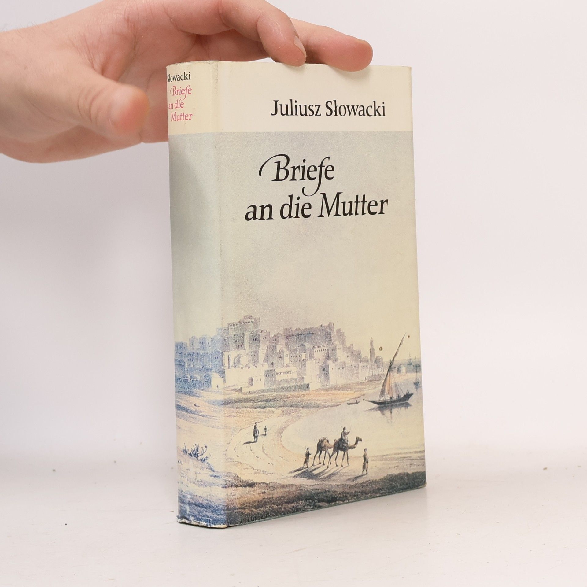Briefe an die Mutter