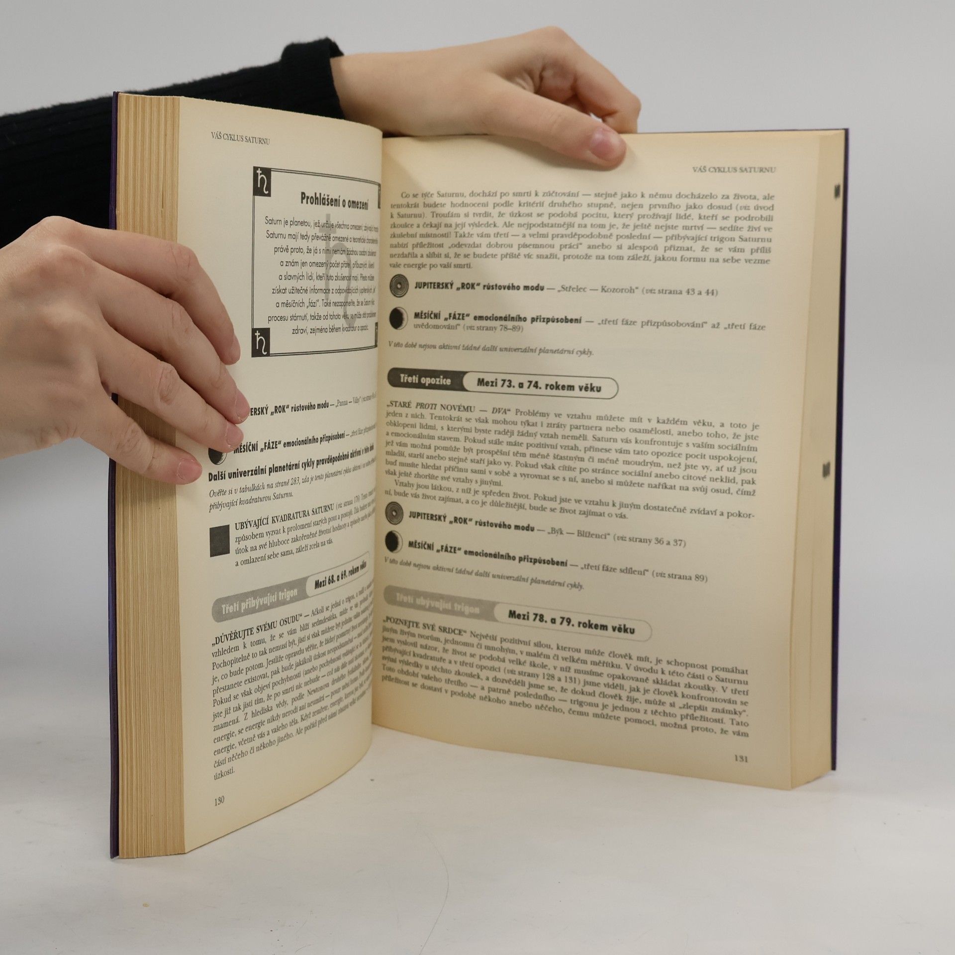 Lyn Birkbeck Astrologie životní cesty: Praktická příručka: Jak ovlivňují planetární cykly celý váš život