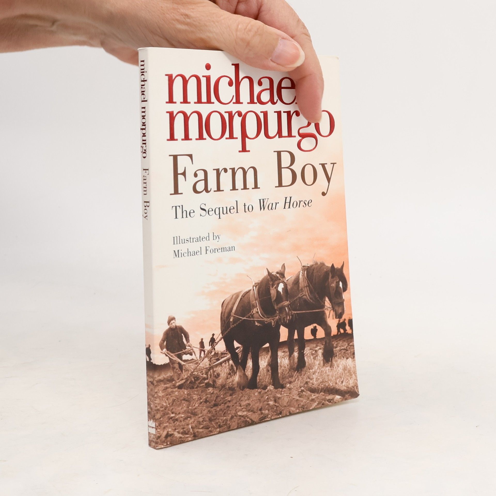 Farm Boy