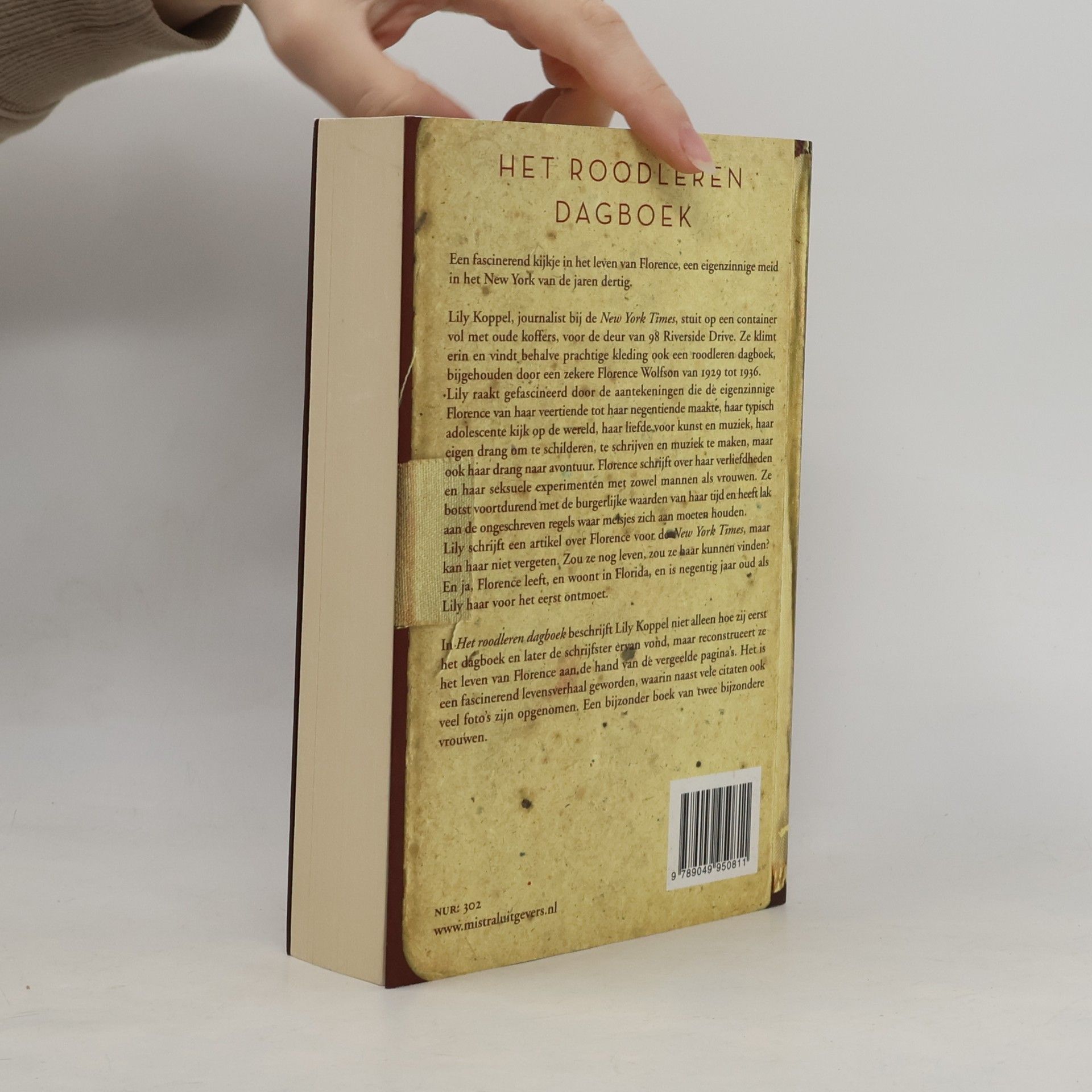 Lily Koppel Het roodleren dagboek