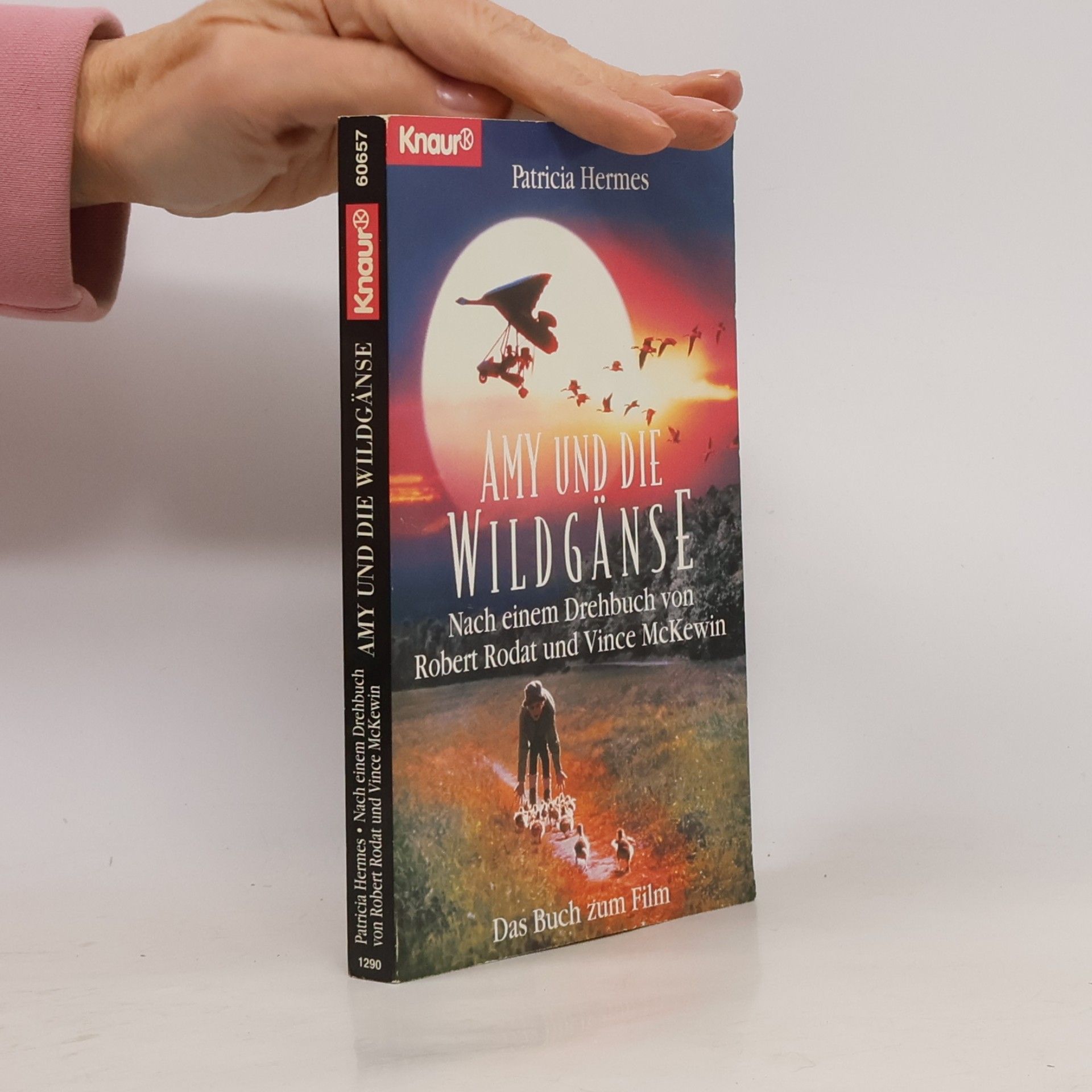 Amy und die Wildgänse