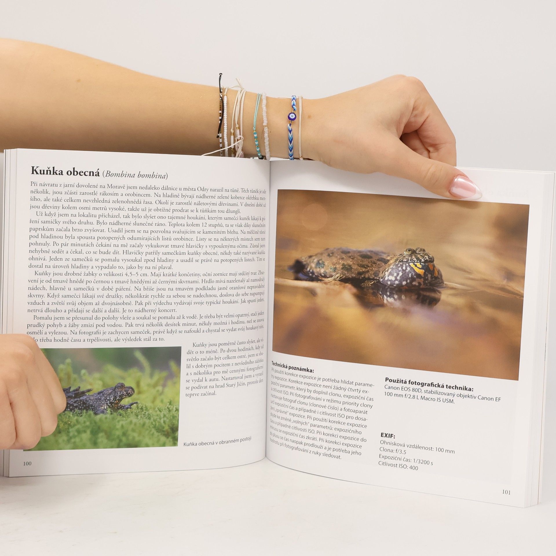 Jan Štěpnička Fotografujeme přírodu : objektivem Honzy Štěpničky