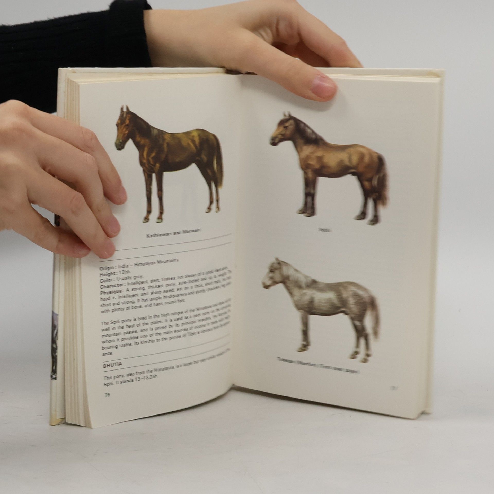 Caroline Silver Guide to the horses of the world