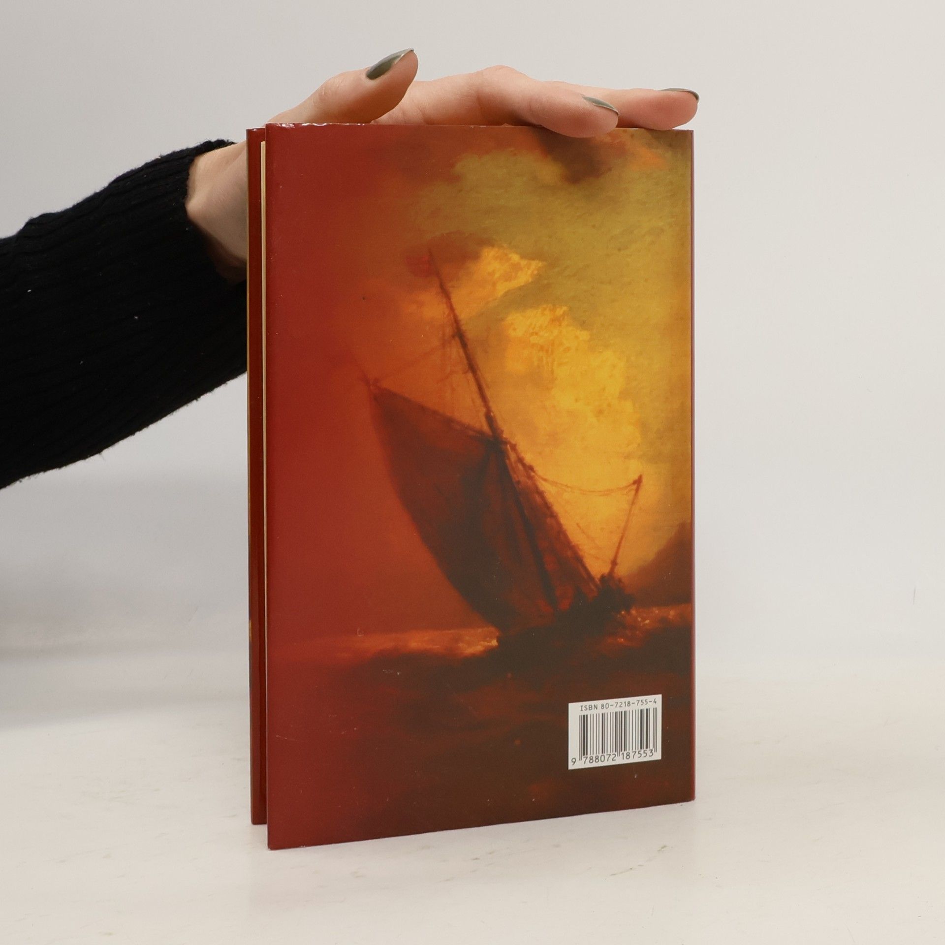 Jules Verne Pašeráci na Dunaji