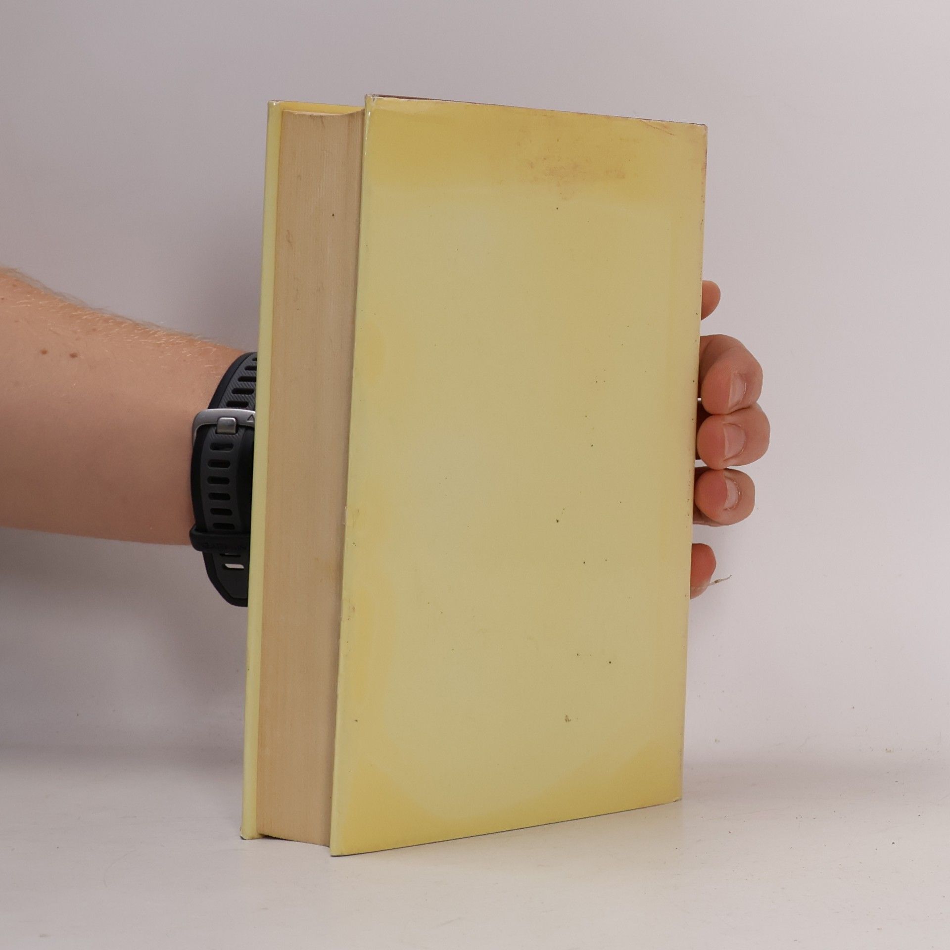 Mary Nicholson Liebe Miss Weaver. Ein Leben für Joyce