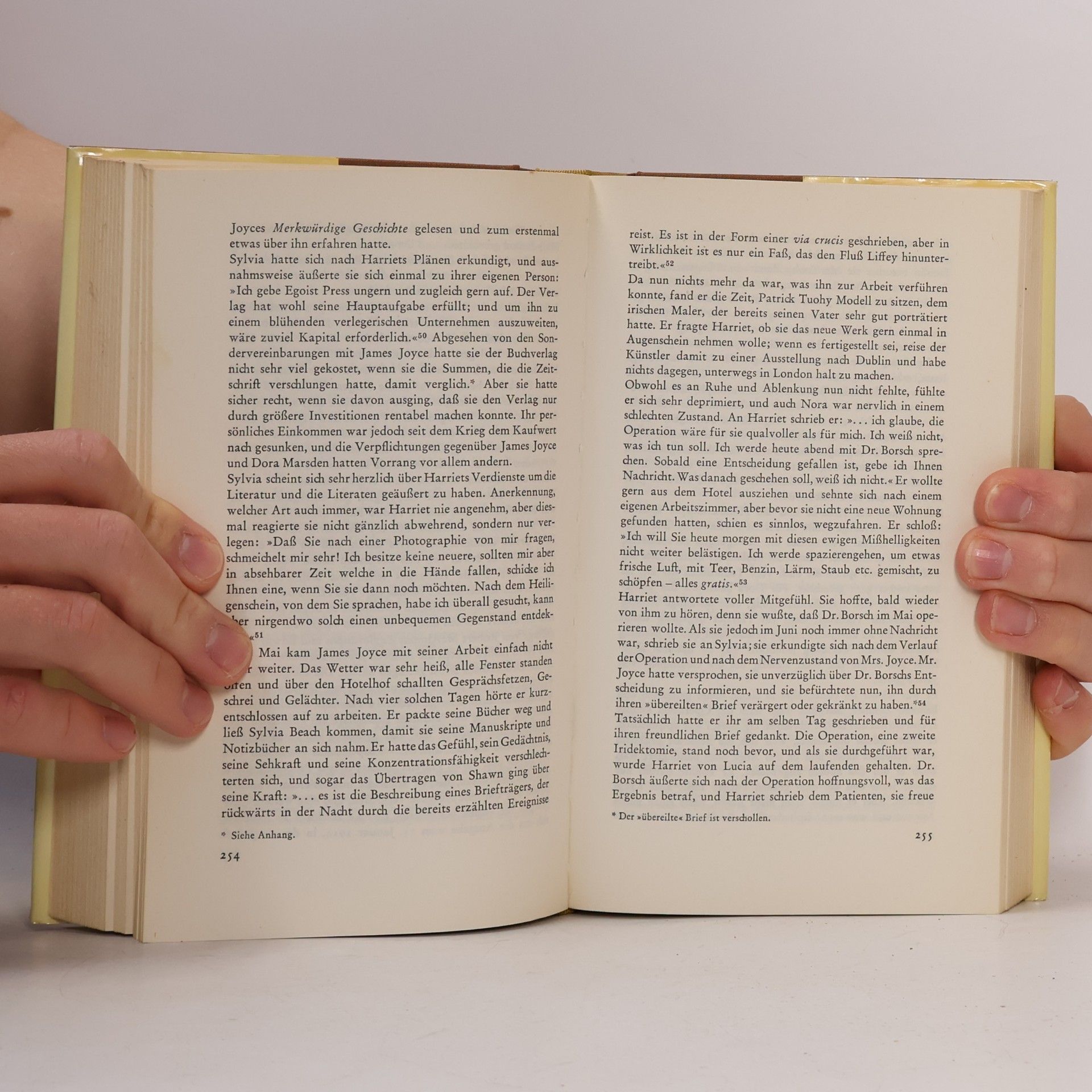 Mary Nicholson Liebe Miss Weaver. Ein Leben für Joyce