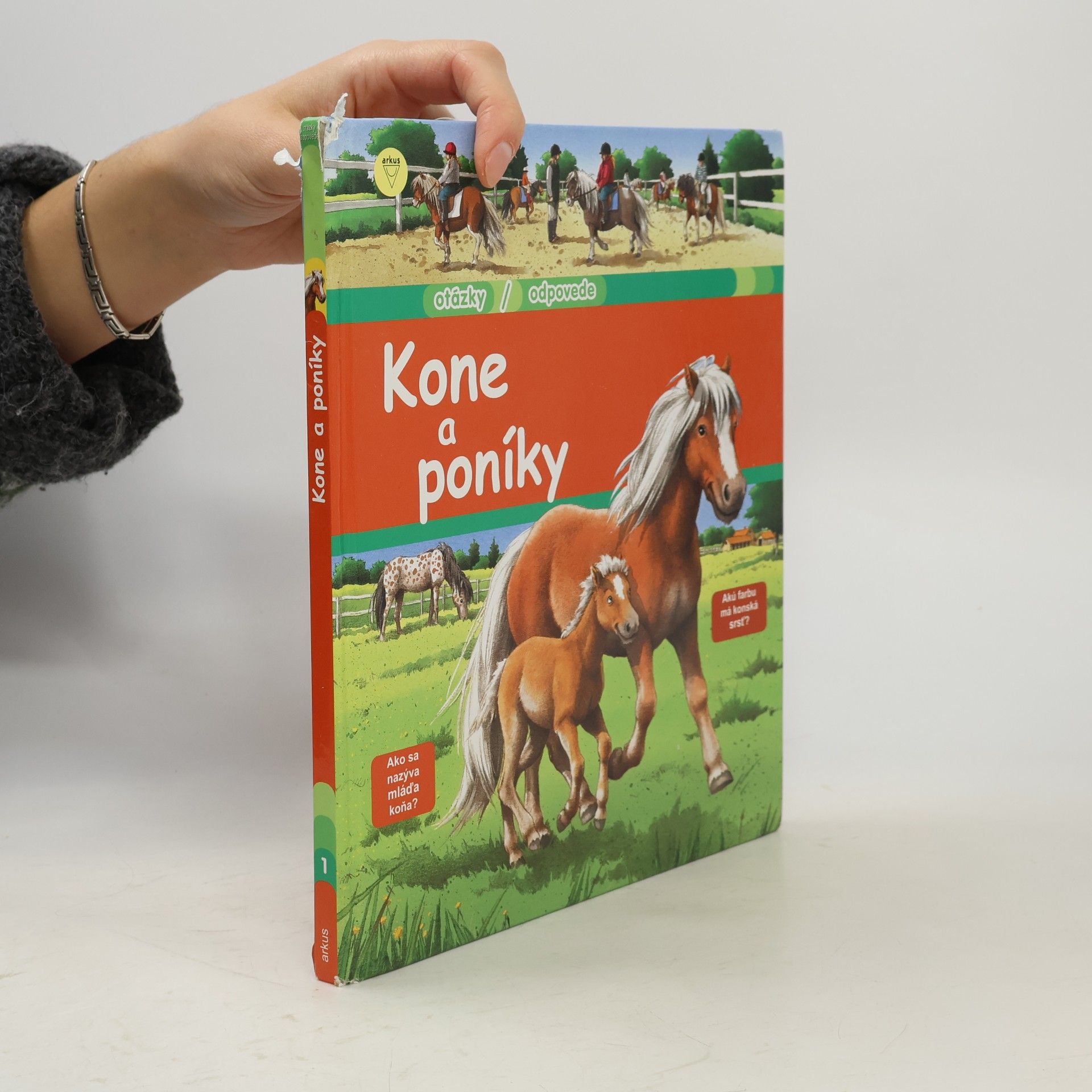 Kone a poníky