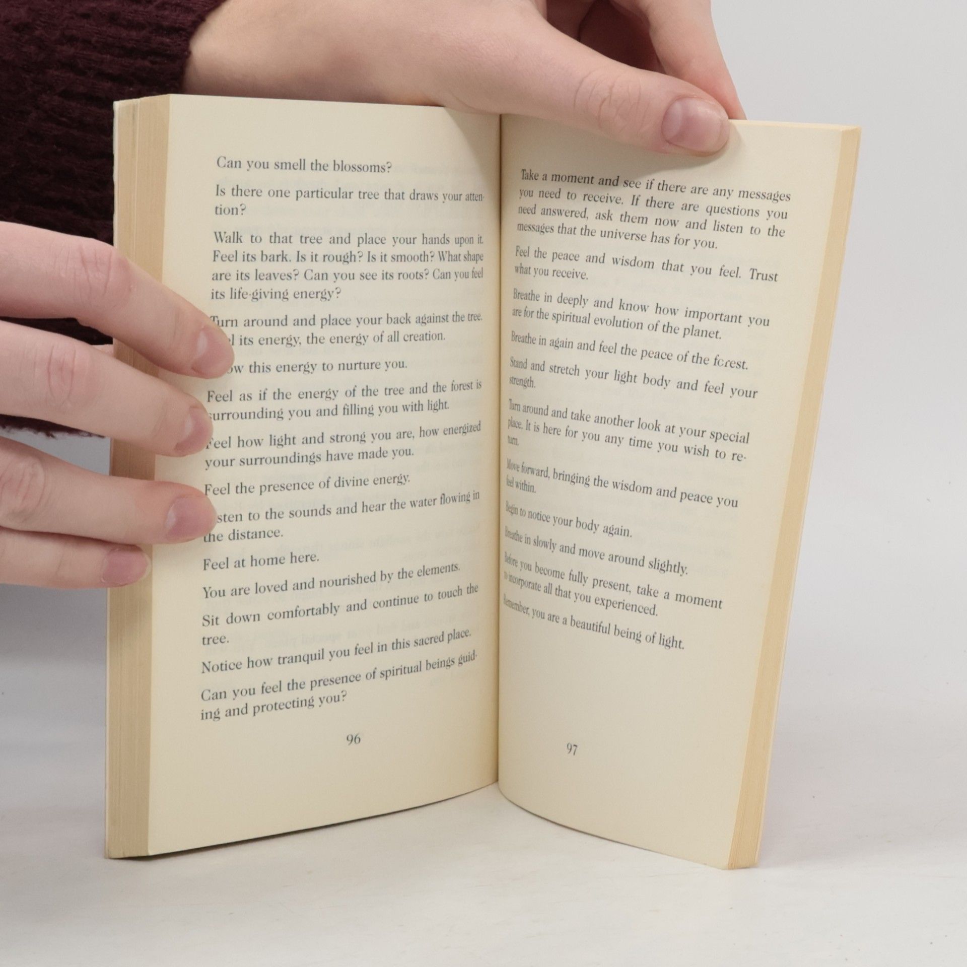 Salle M. Redfield Das Celestine-Meditations-Handbuch