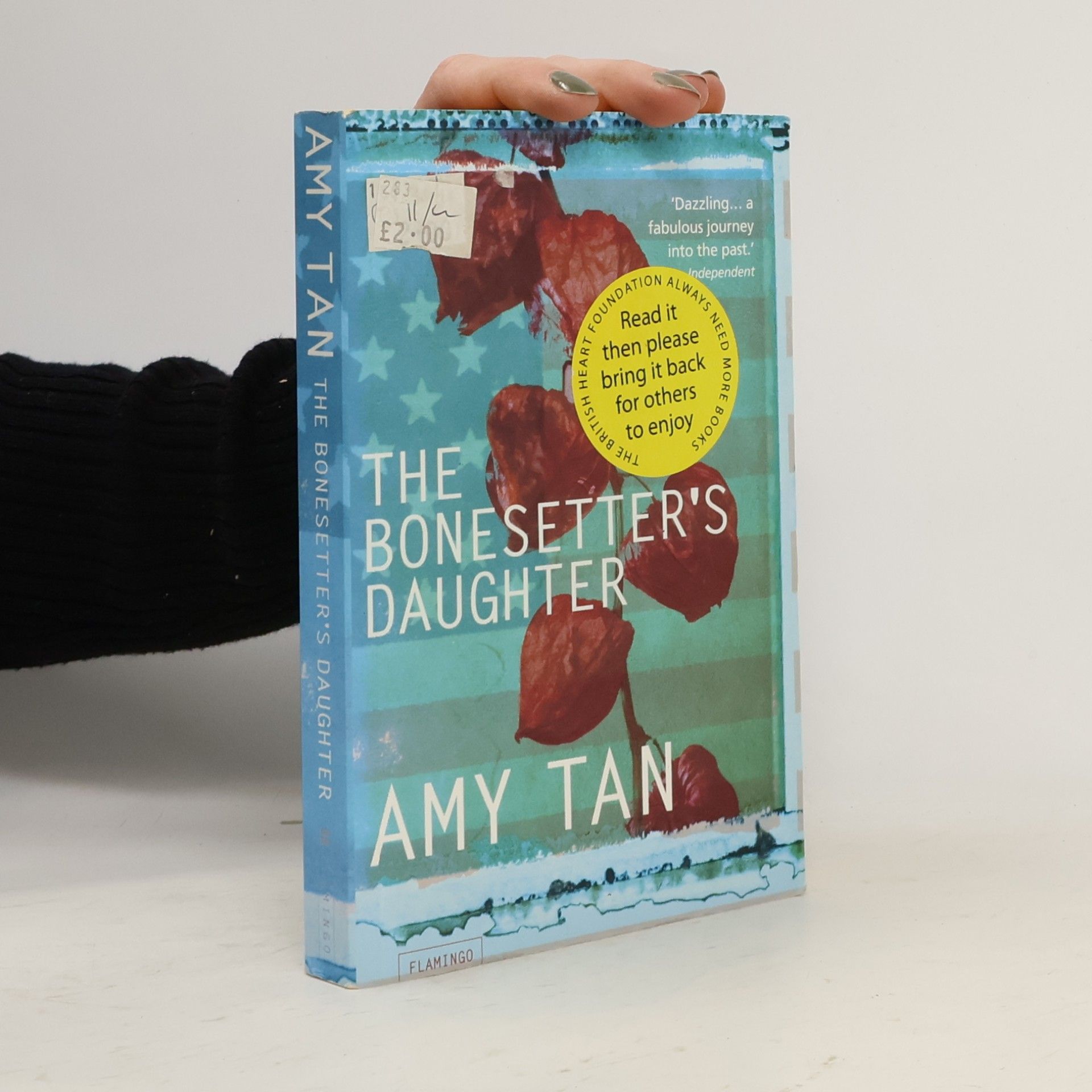 The bonesetter's daughter