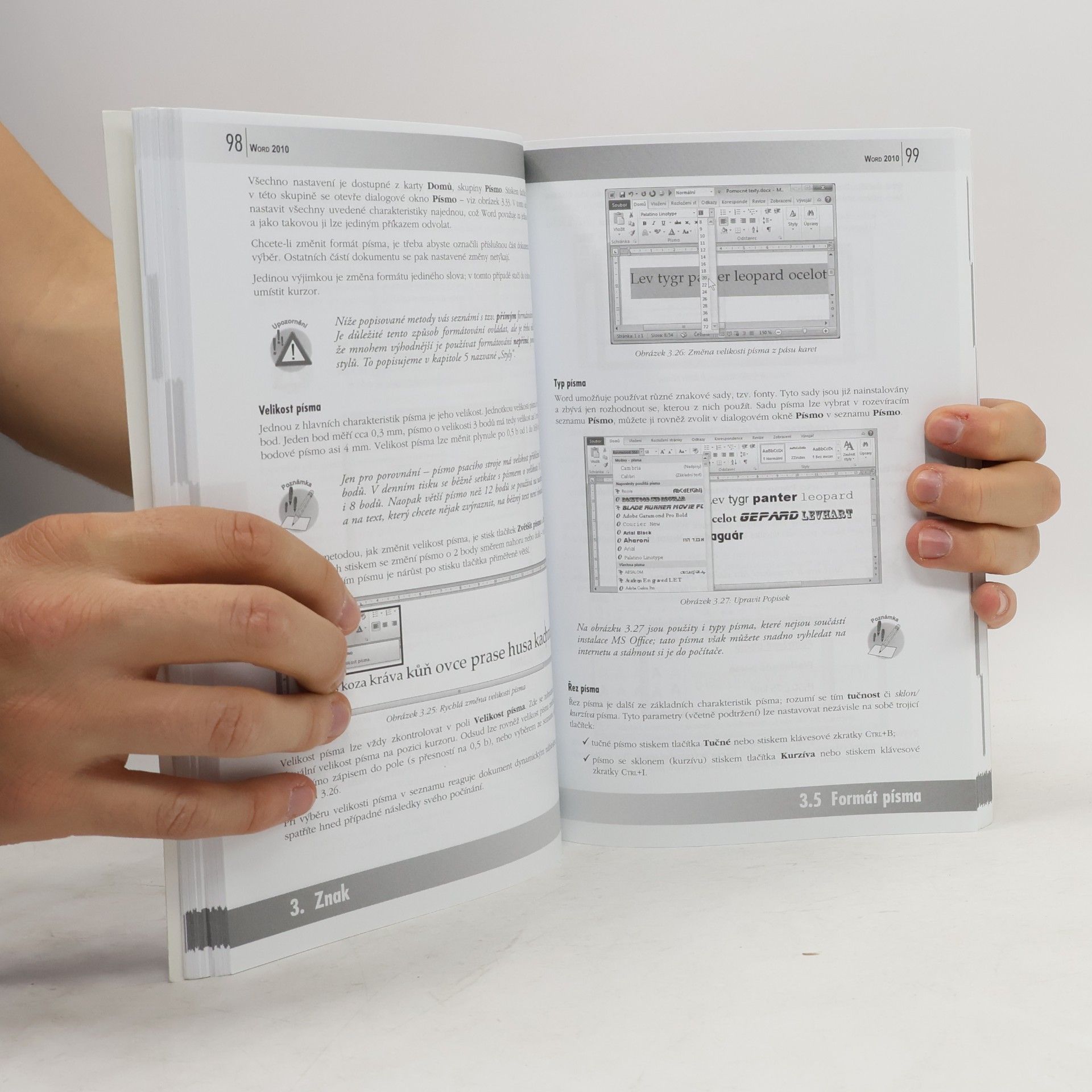 Josef Pecinovský Word 2010 – podrobný průvodce