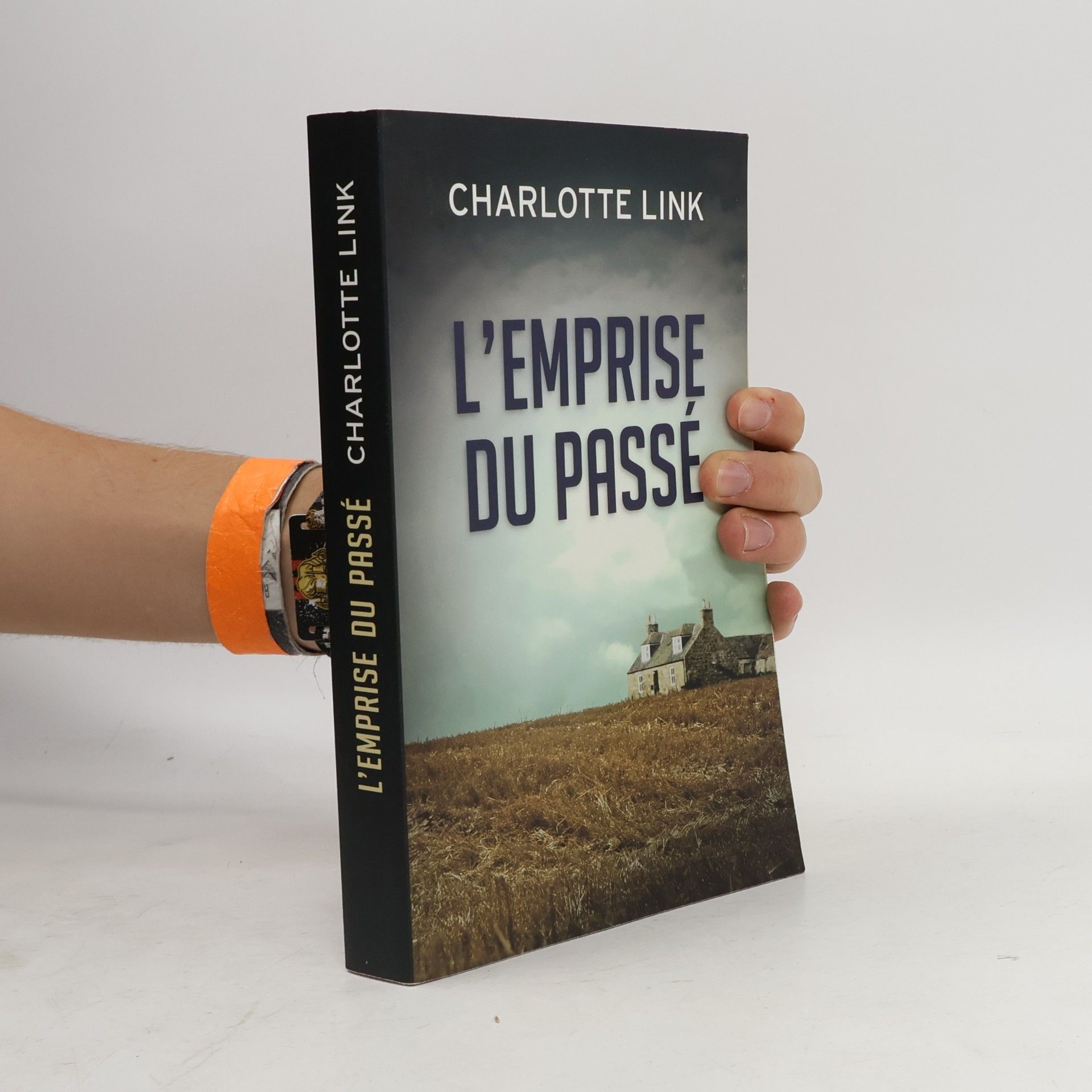 Charlotte Link L'Emprise du passé
