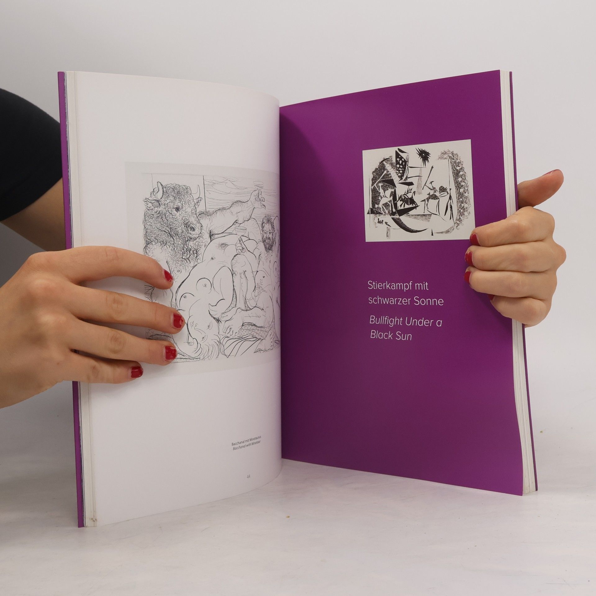 Andreas Hirsch Picasso - Mythen, Fabeln und Modelle, myths, fables and models