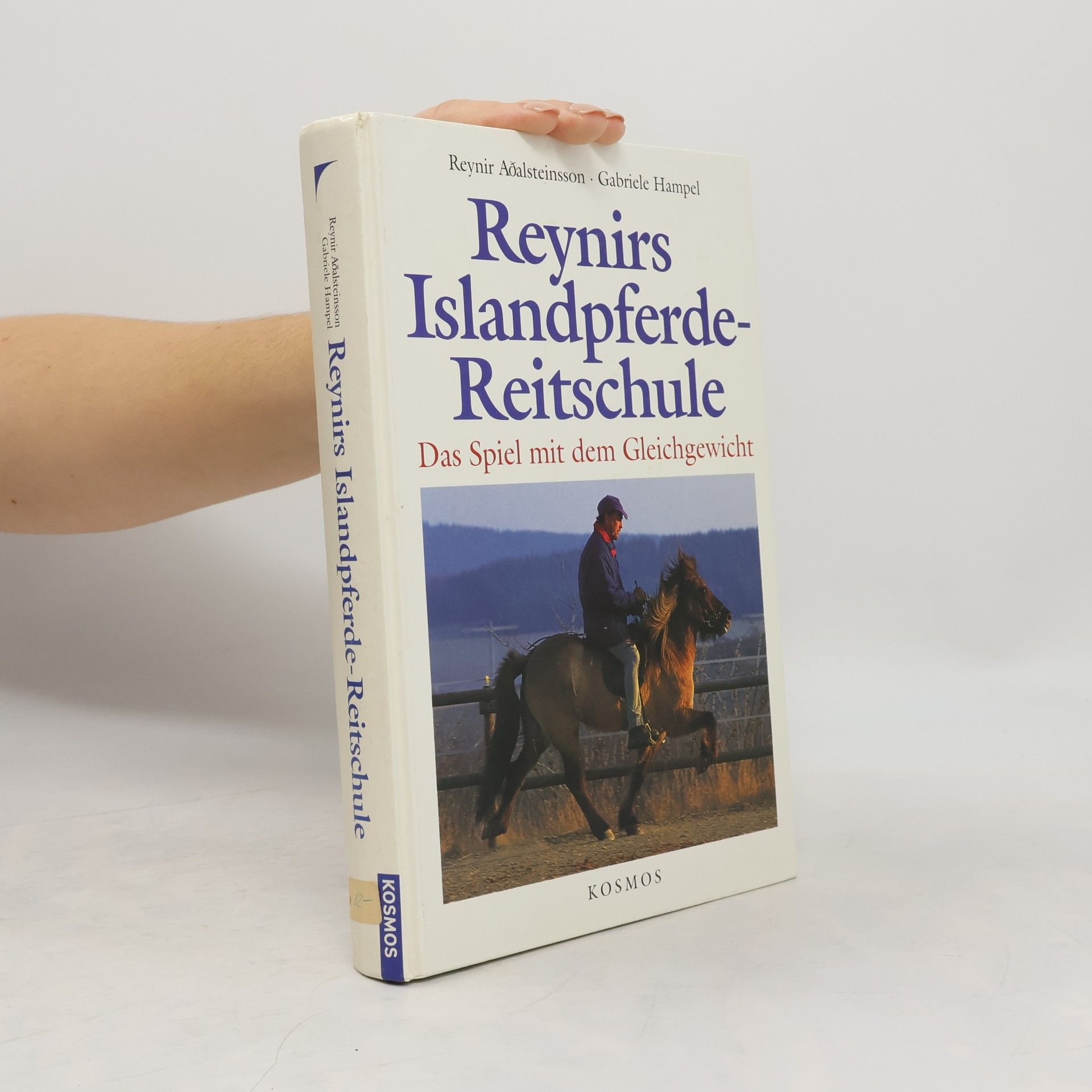 Reynirs Islandpferde-Reitschule