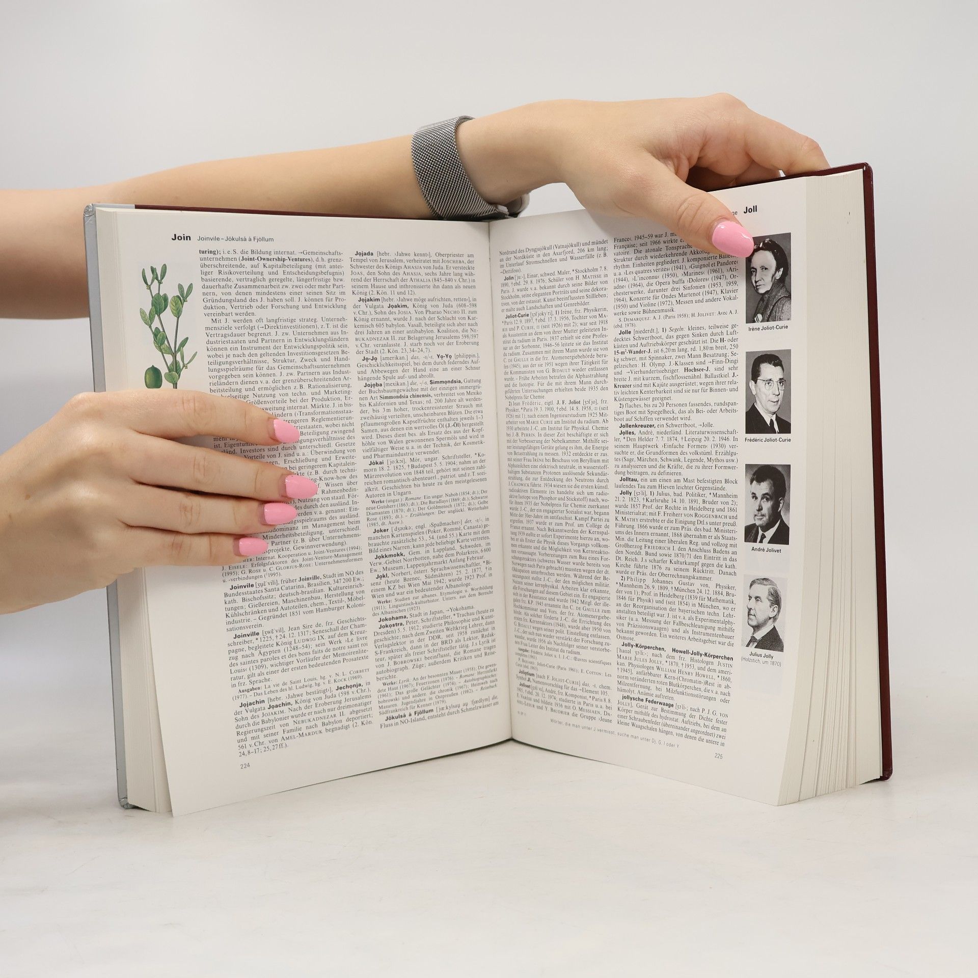 Autorenkollektiv Brockhaus 11. Die Enzyklopädie in 24 Bänden