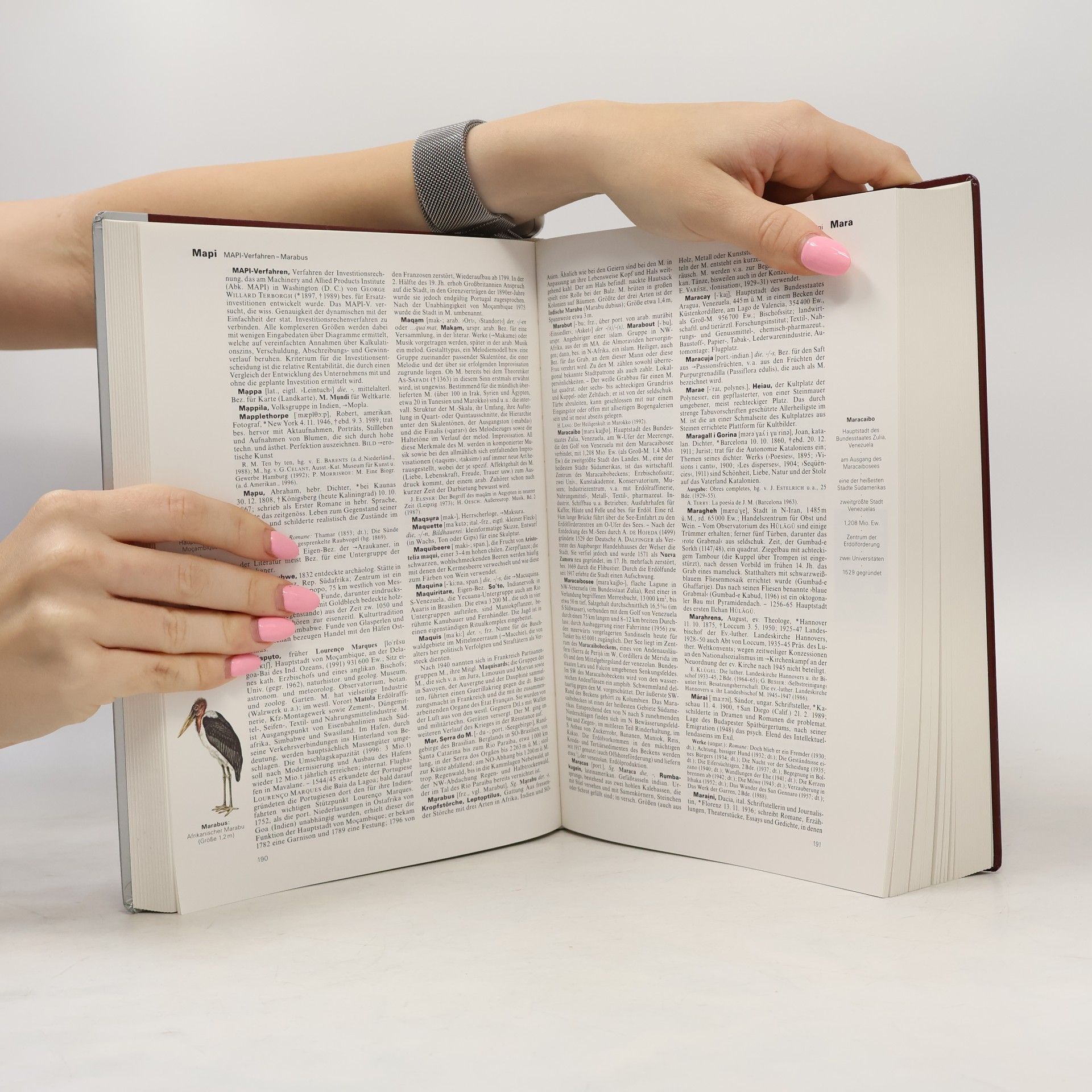 Autorenkollektiv Brockhaus 14. Mae-Mob