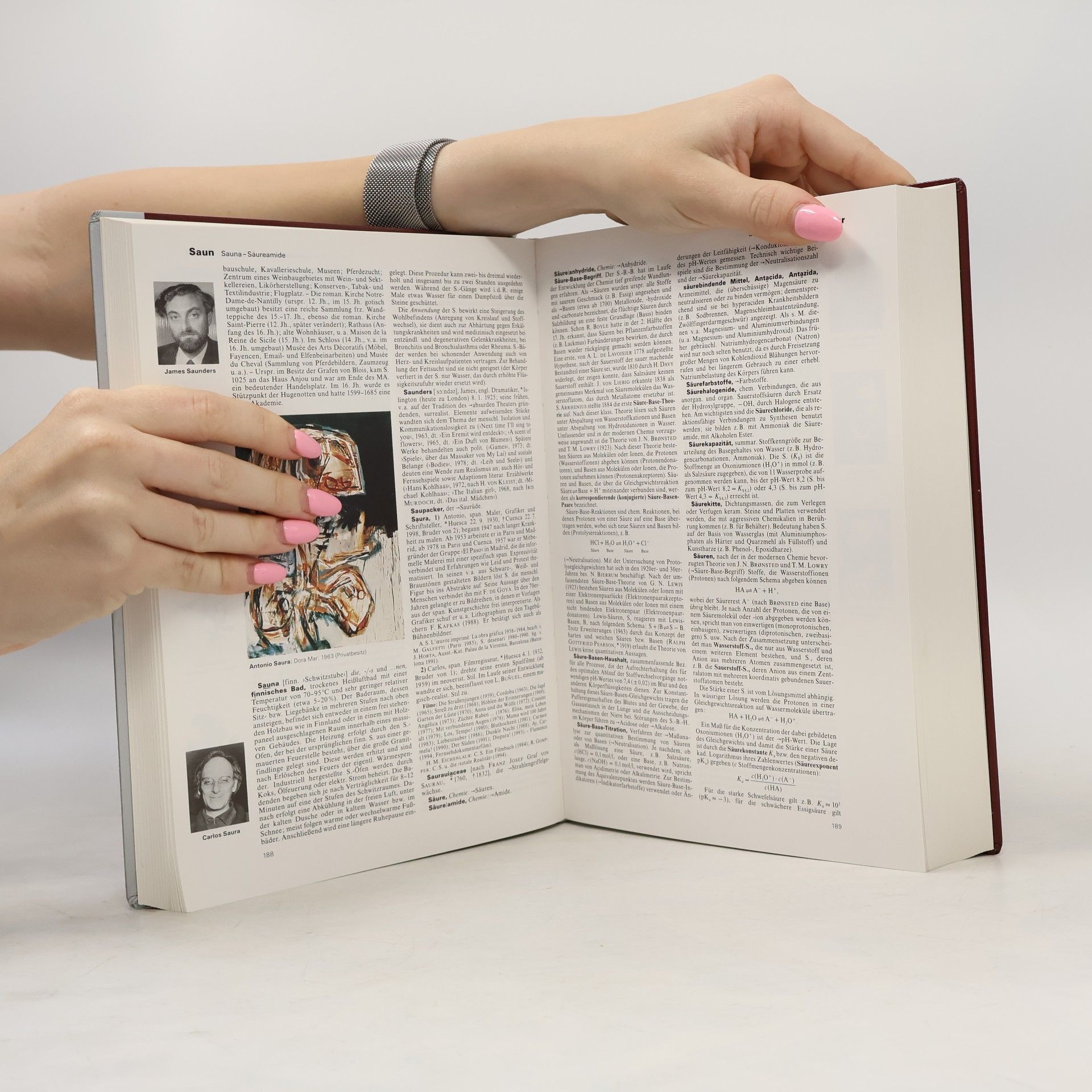 Autorenkollektiv Brockhaus 19. Die Enzyklopädie in 24 Bänden
