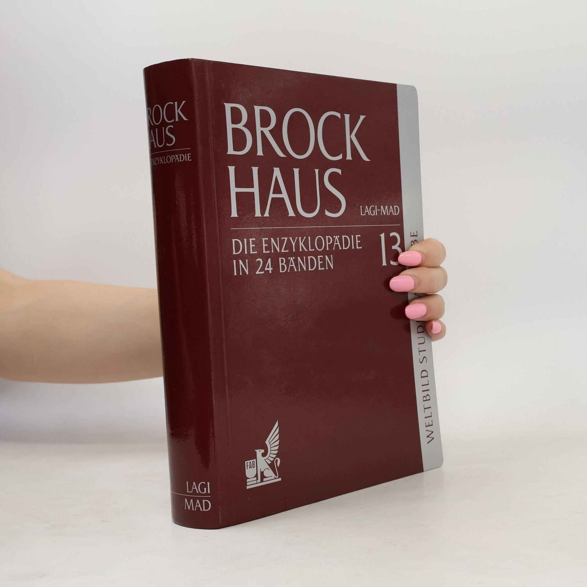 Autorenkollektiv Brockhaus 13. Lagi-Mad