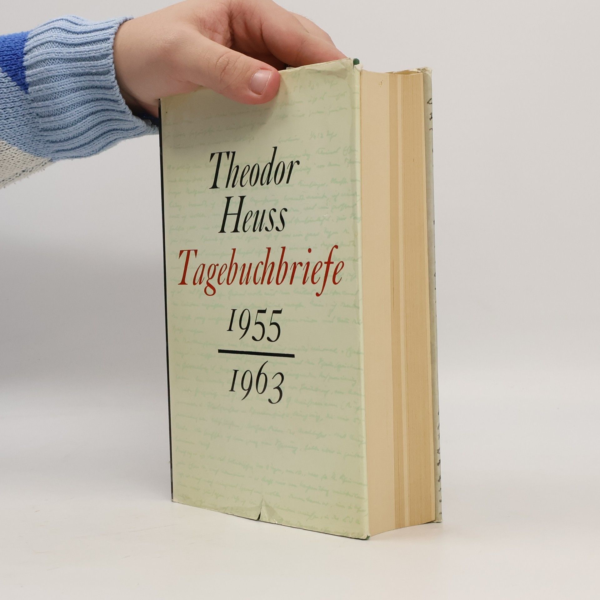 Theodor Heuss Tagebuchbriefe 1955/1963