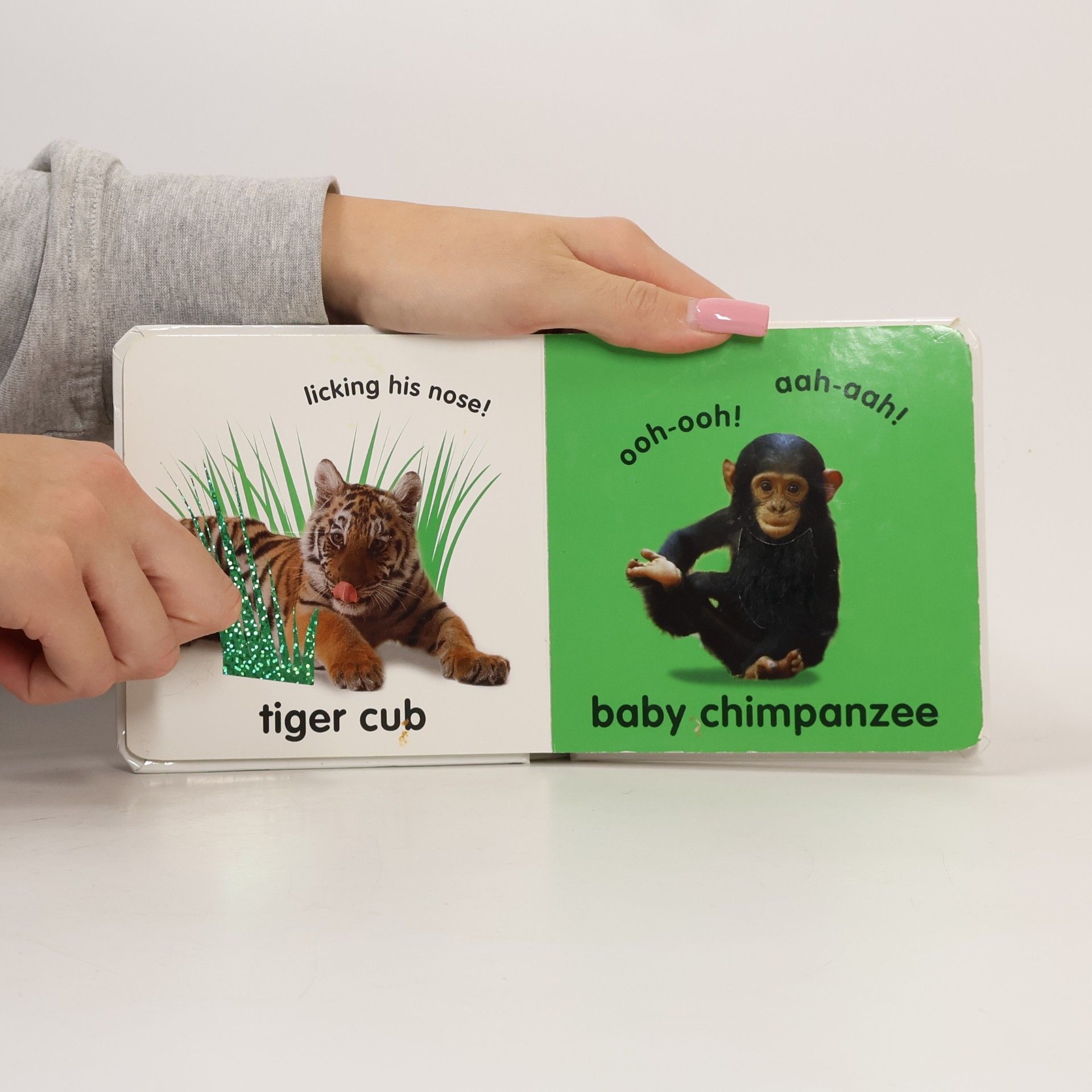 Dorling Kindersley Baby Touch and Feel Animals