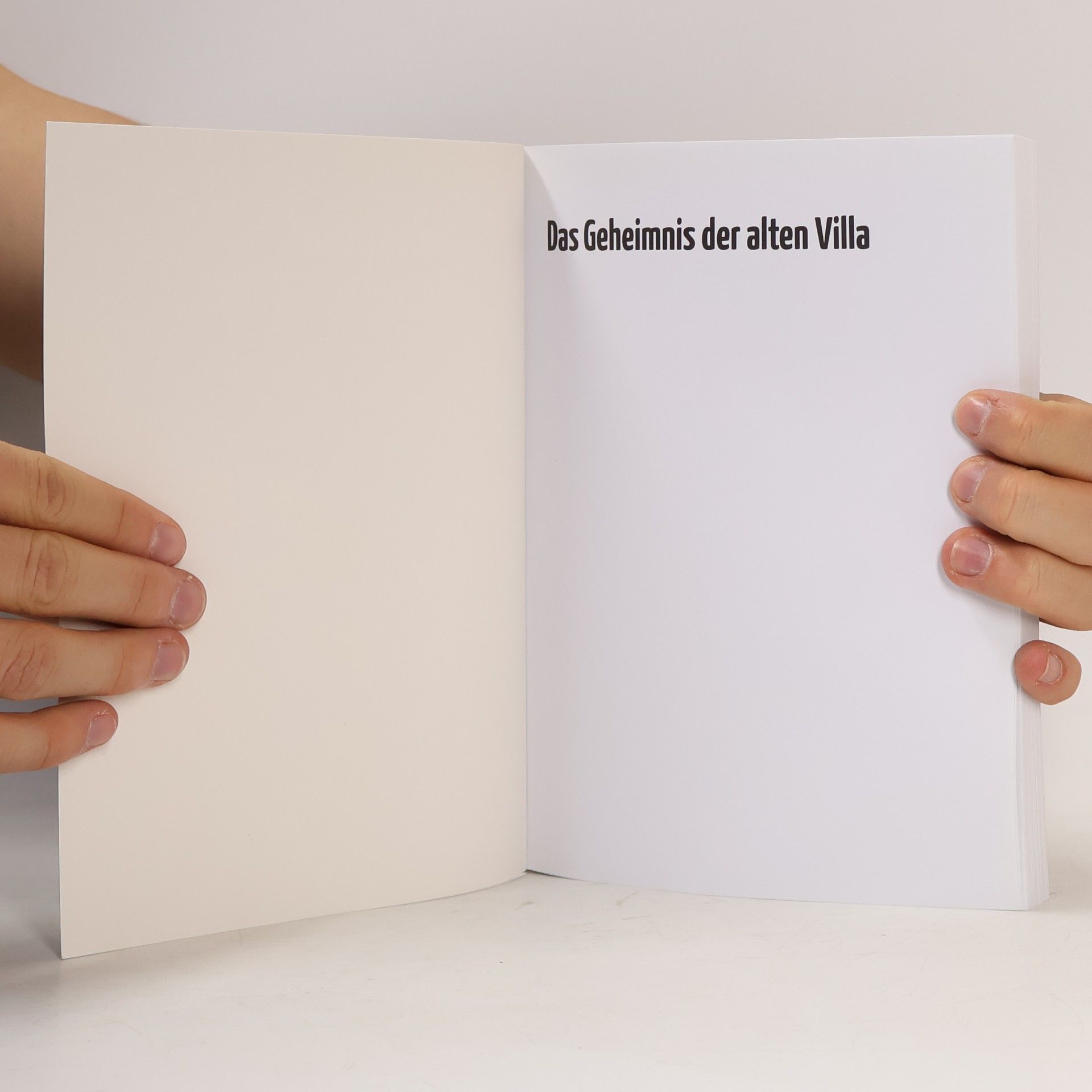 Autorenkollektiv Geheimnis der alten Villa