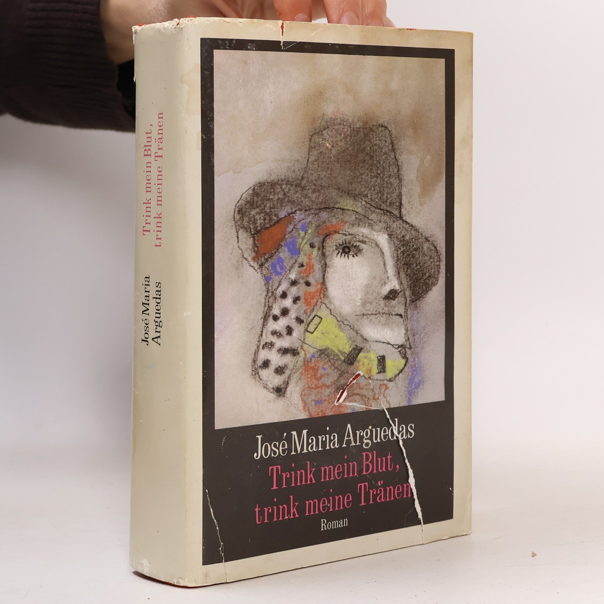 José María Arguedas Trink mein Blut, trink meine Tränen