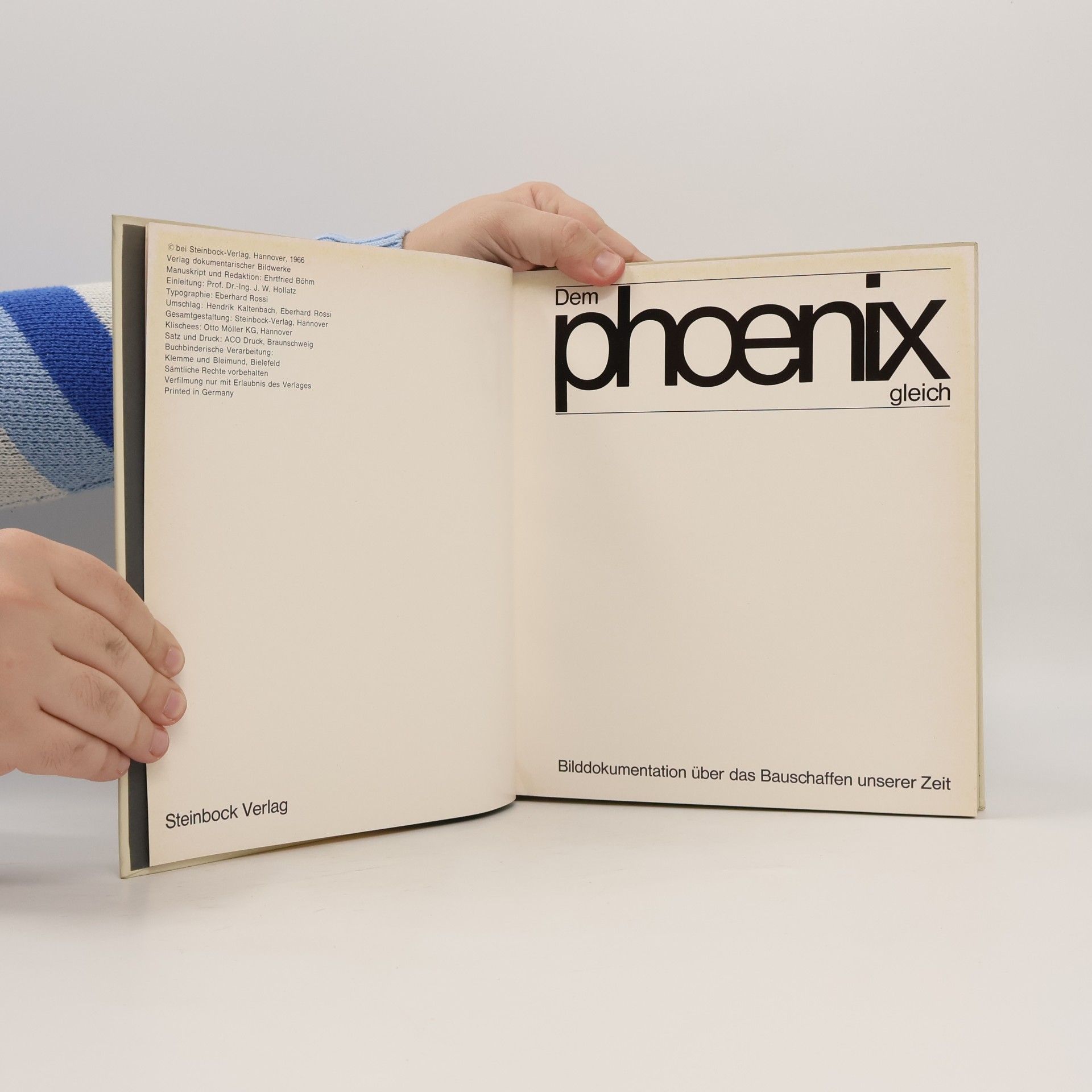 kolektiv Dem Phoenix gleich