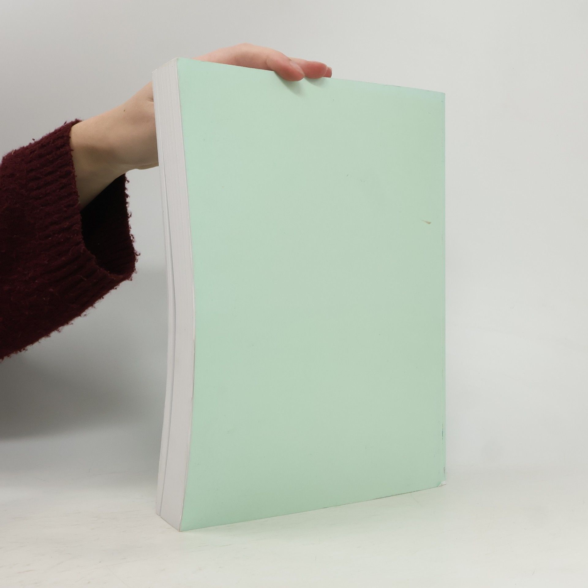Günther Feuerstein Skizzen und kleine schriften
