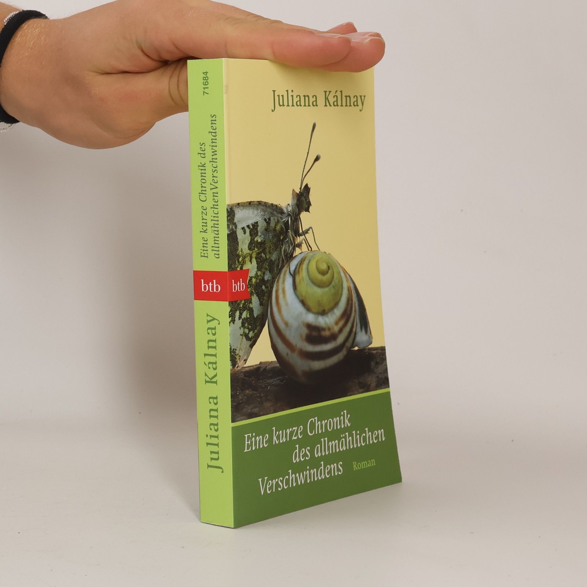 Juliana Kálnay Eine kurze Chronik des allmählichen Verschwindens