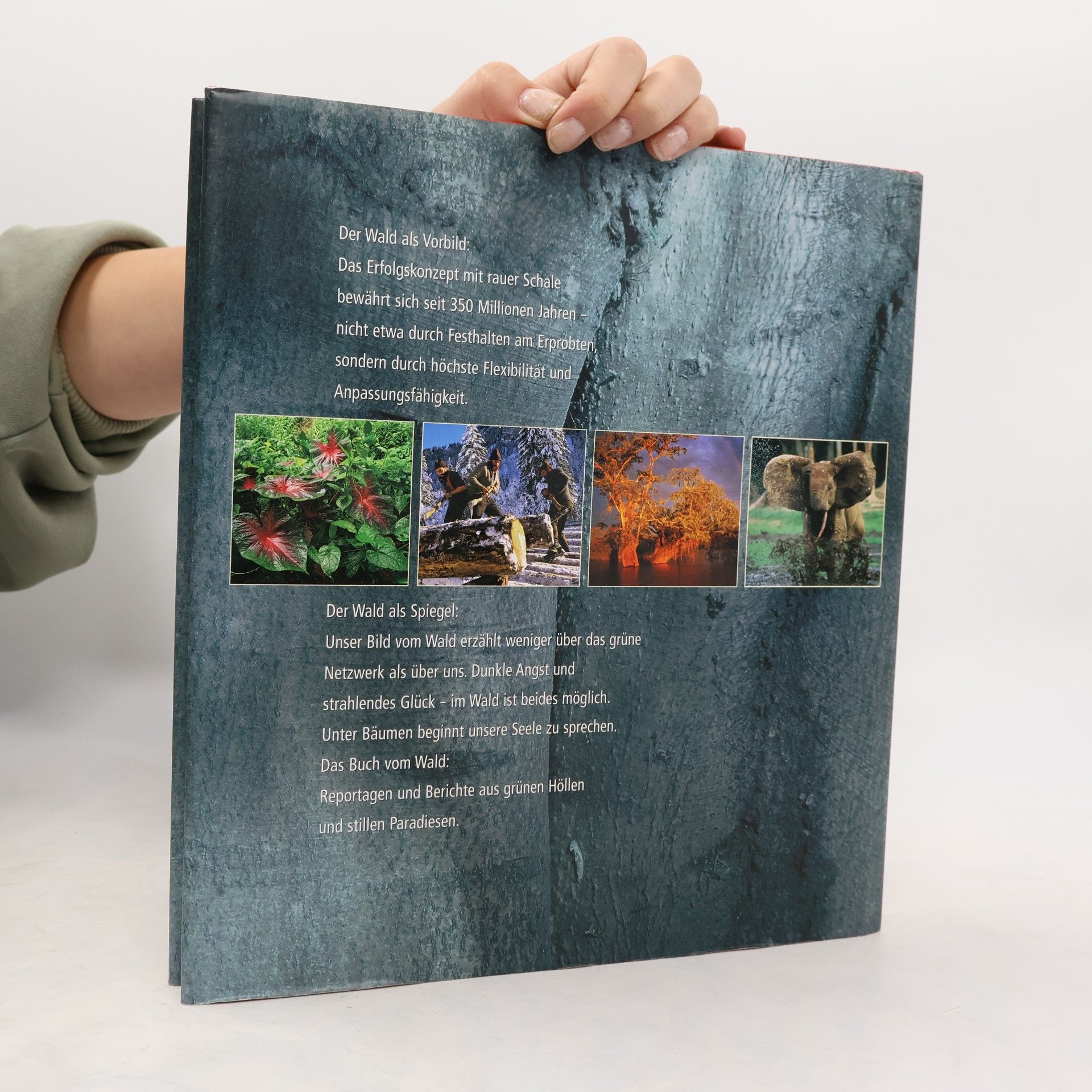 Autores varios Das Bild vom Wald