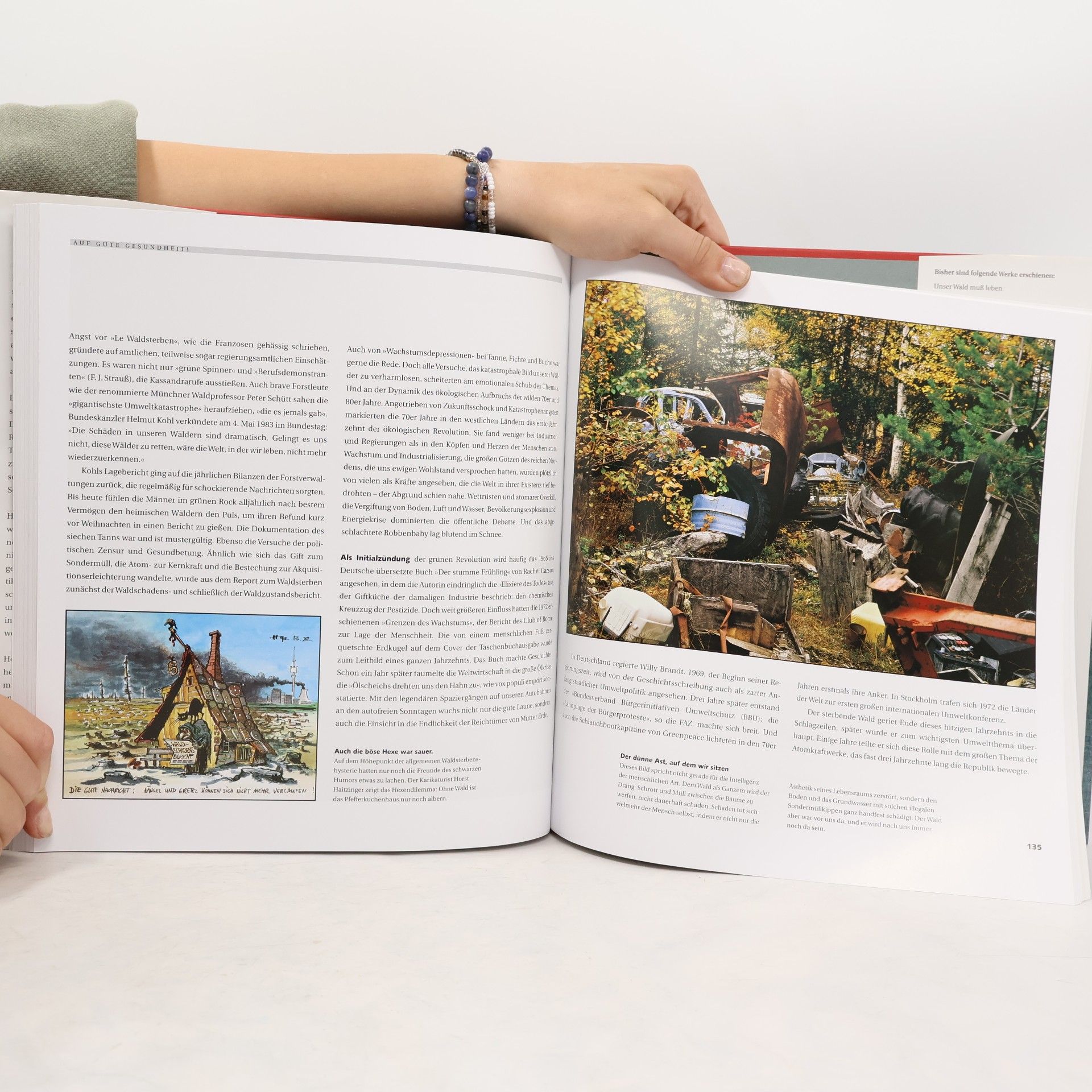 Autores varios Das Bild vom Wald