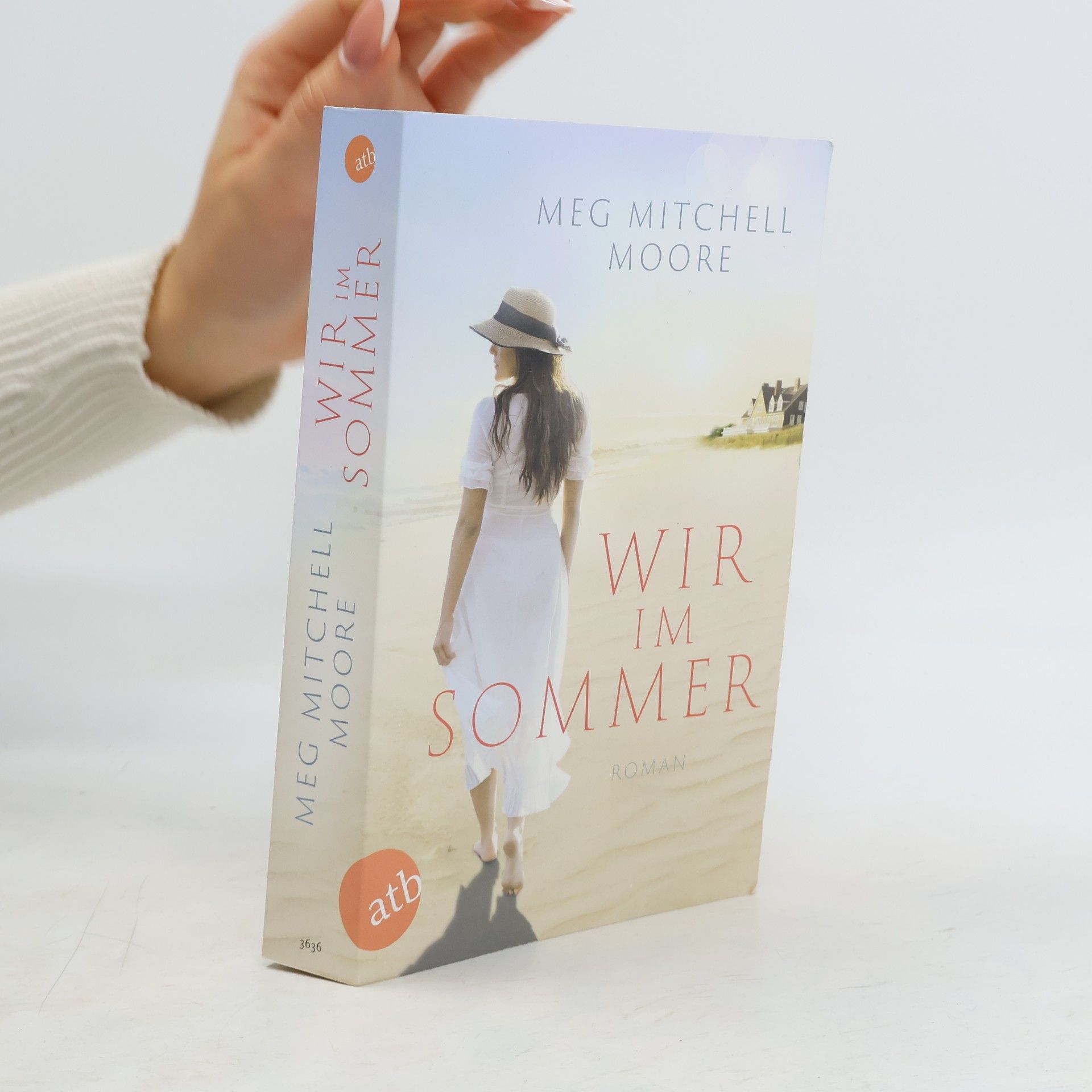 Meg Mitchell Moore Wir, im Sommer. Roman