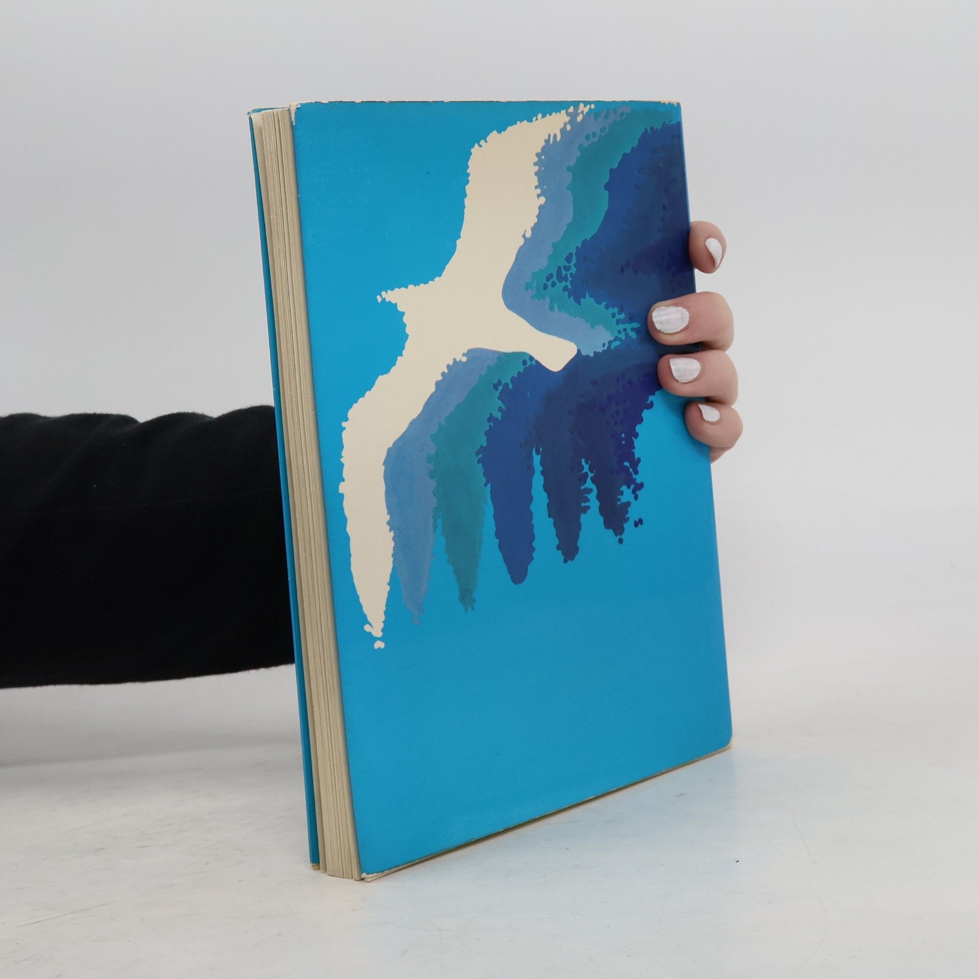 Richard Bach Jonathan Livingston le goéland