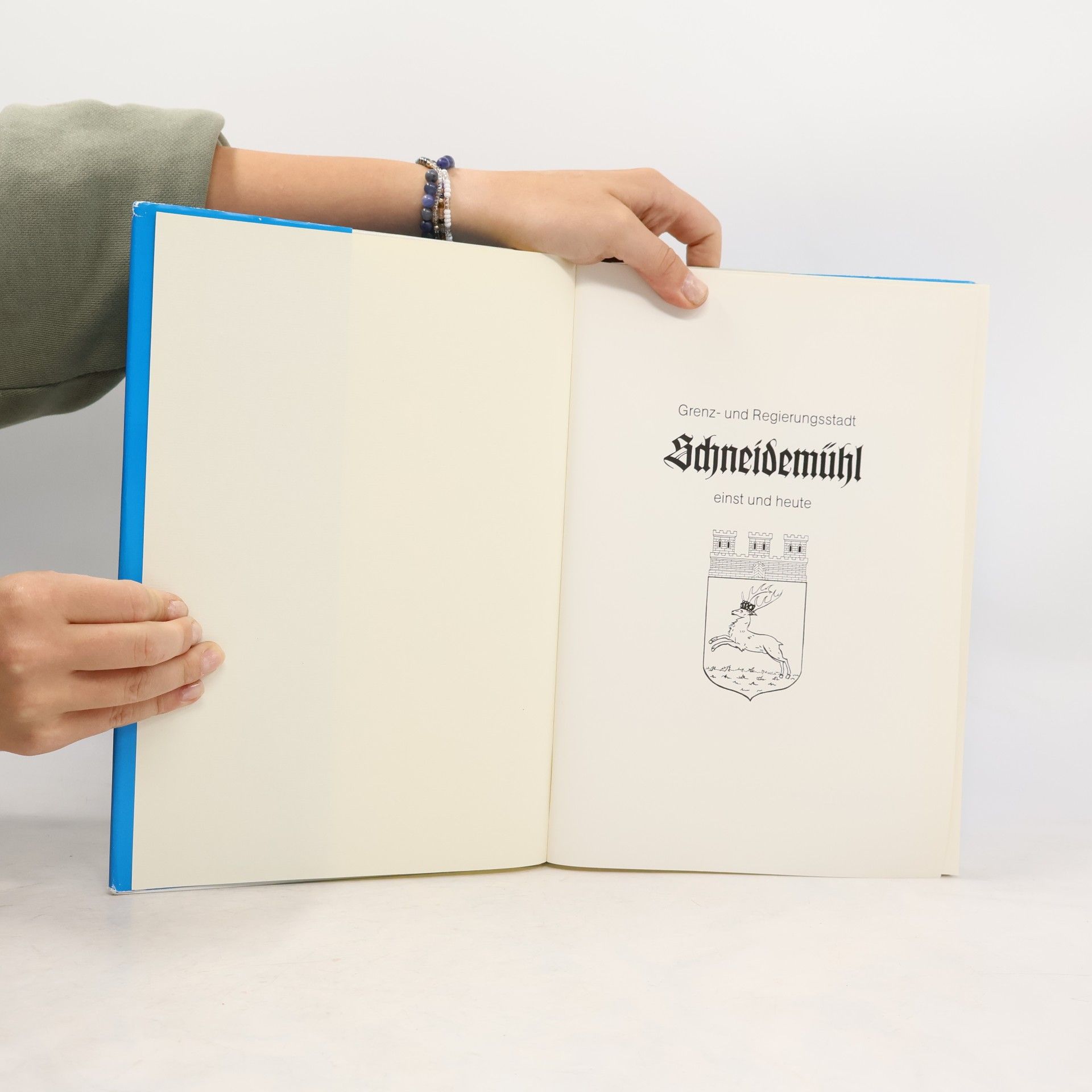 kolektiv Schneidemühl