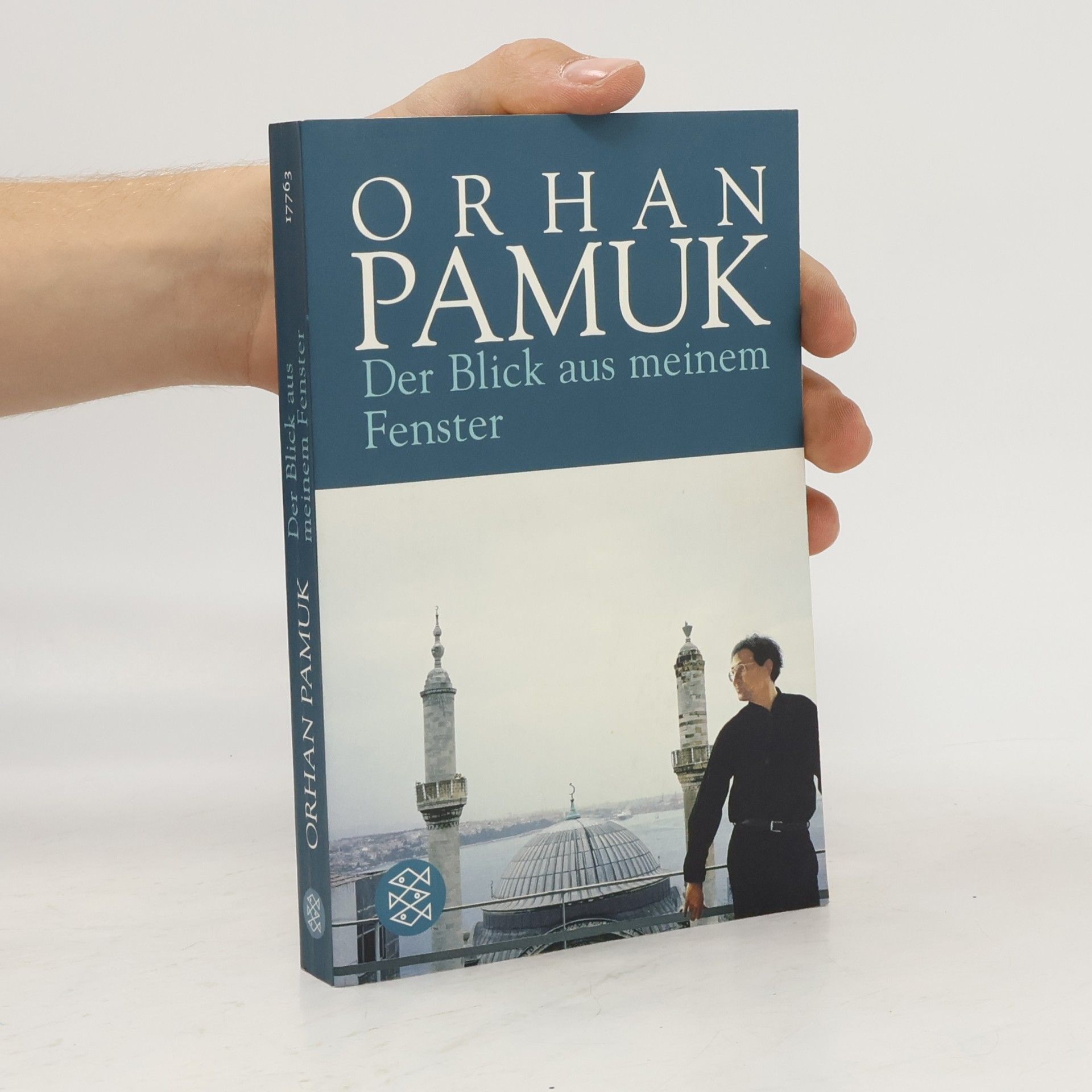 Orhan Pamuk Der Blick aus meinem Fenster