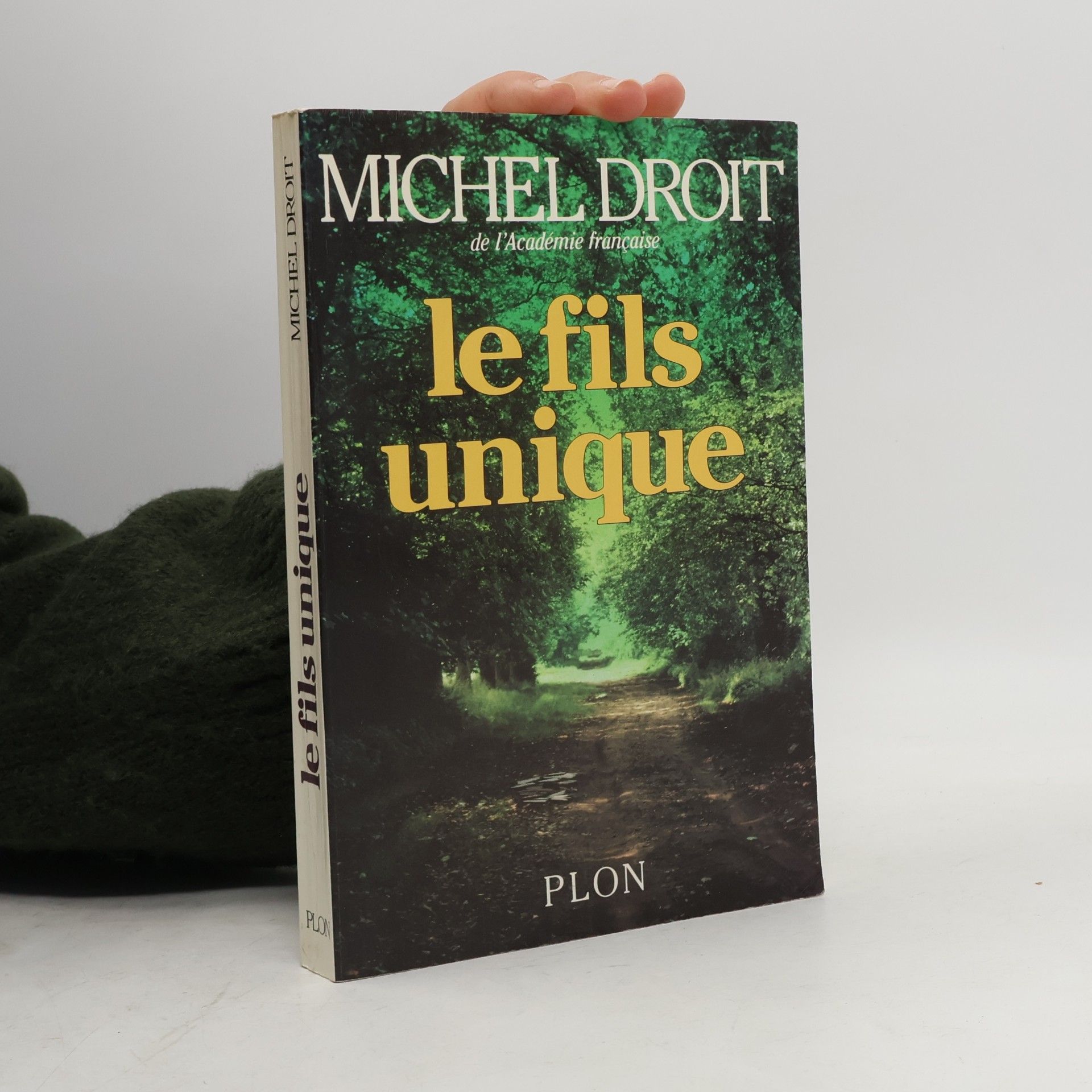 Michel Droit Le fils unique